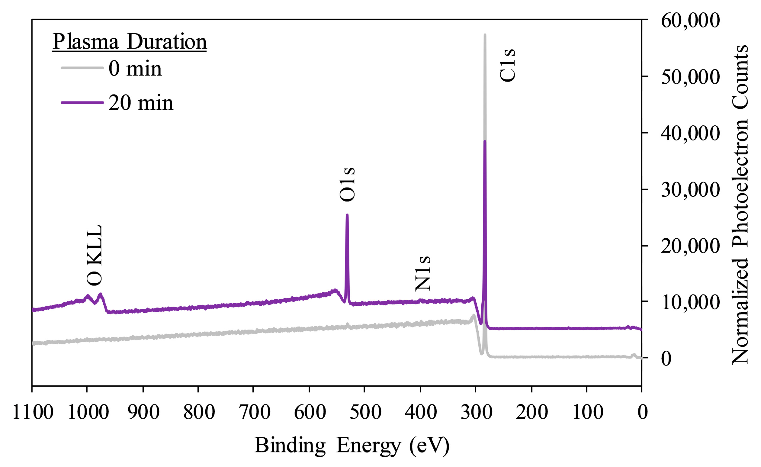 Coatings 10 01056 g002