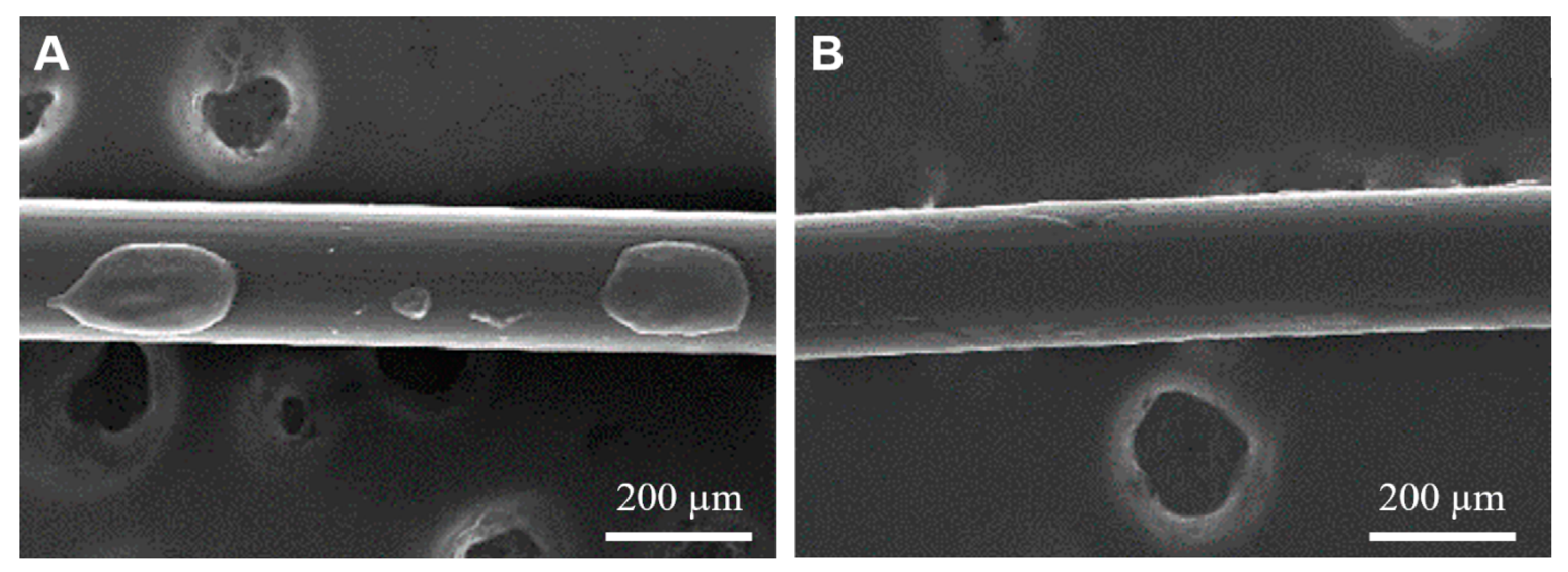 Coatings 10 01056 g005