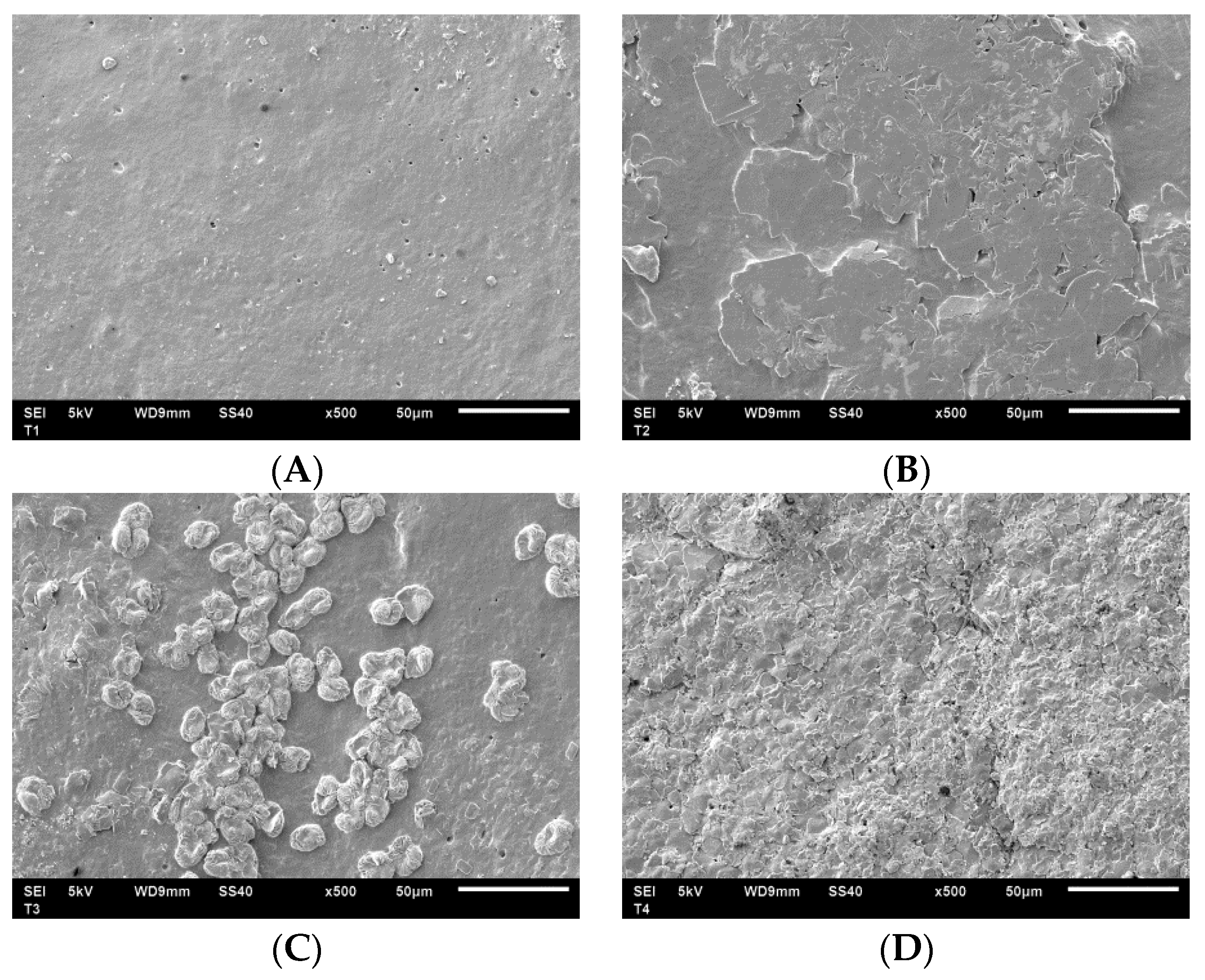 Coatings 10 01059 g002