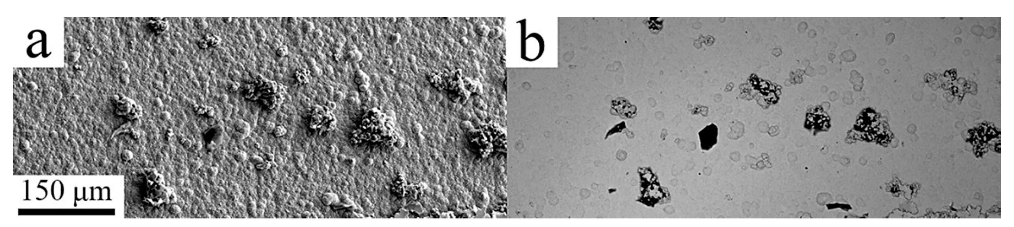 Coatings 10 01060 g003