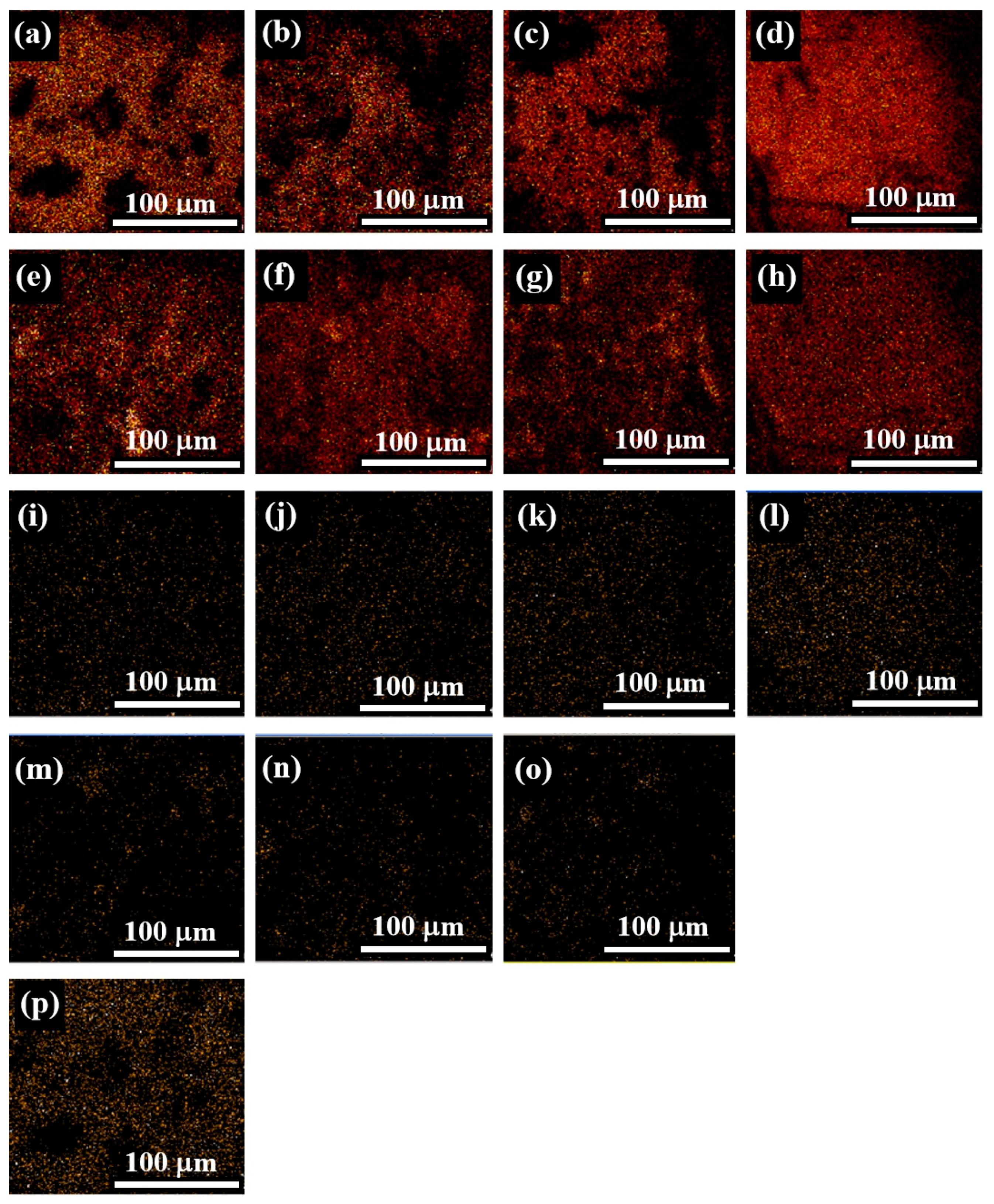 Coatings | Free Full-Text | A Tale of Two Tiles: Characterization 