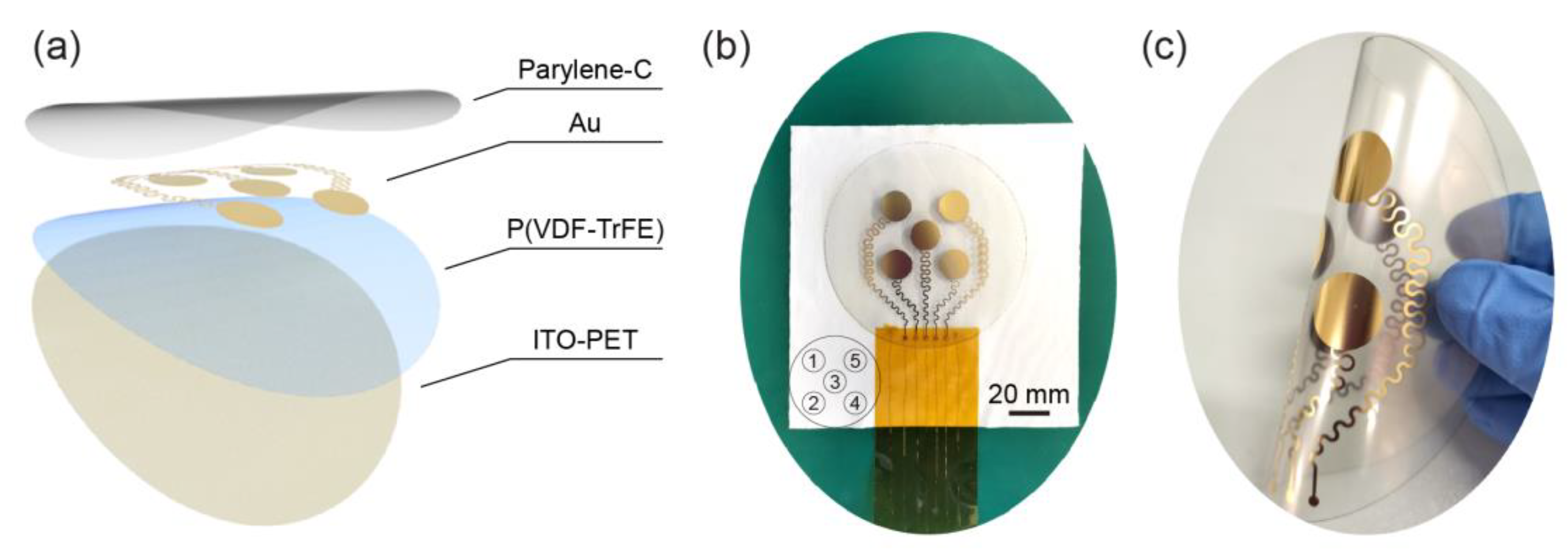 Coatings 10 01094 g001