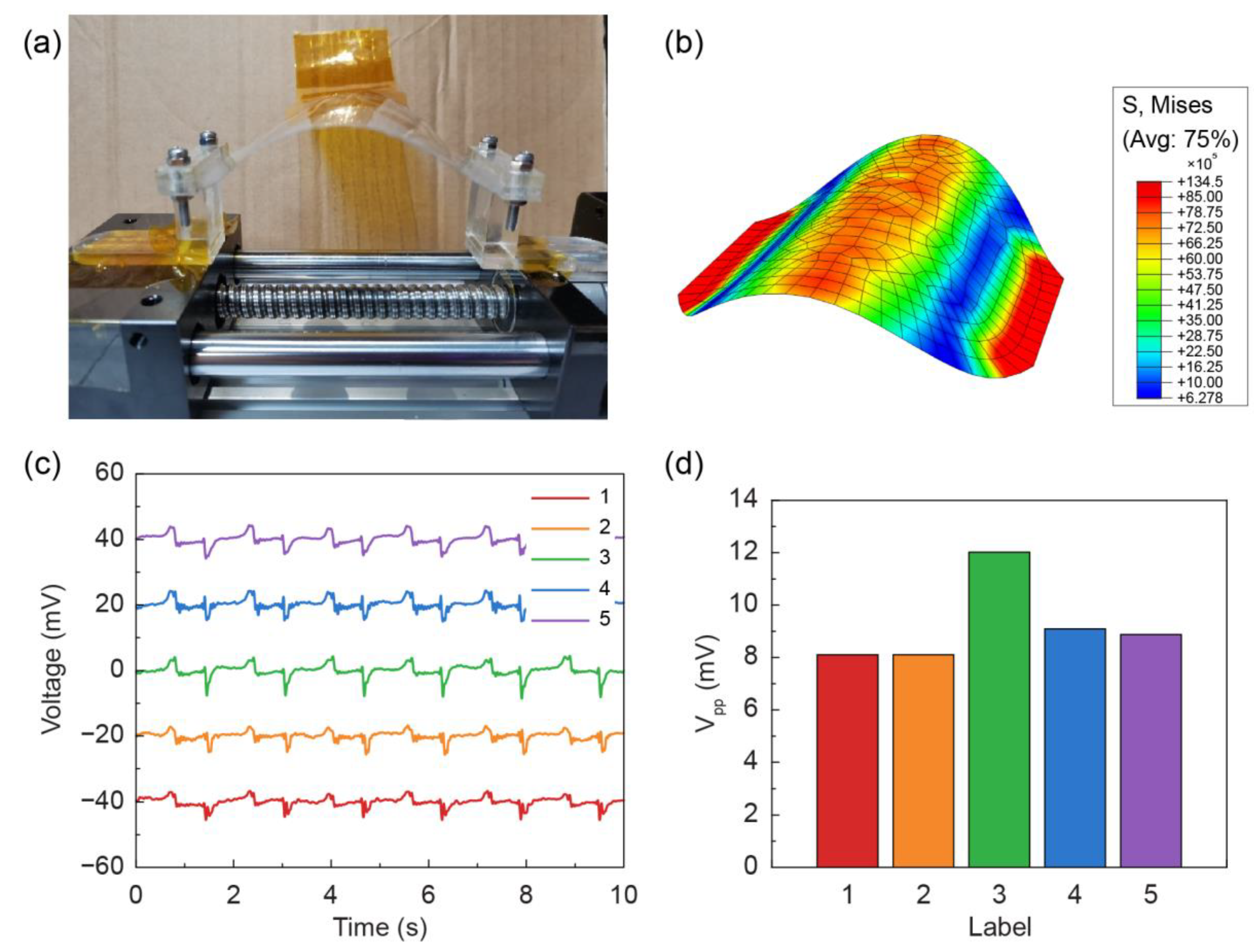 Coatings 10 01094 g003