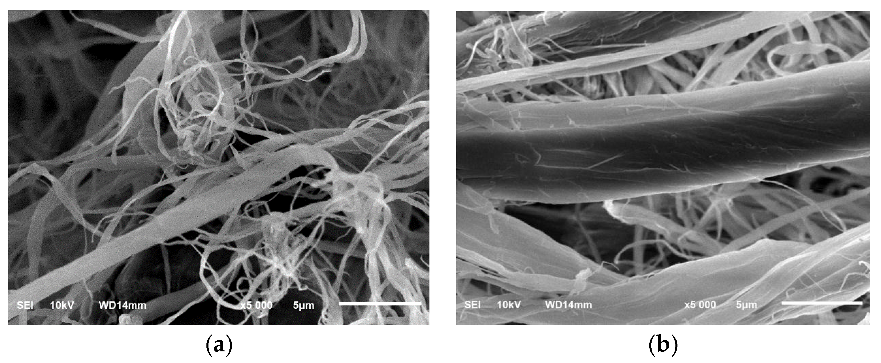 Coatings 10 01103 g003 Coatings 10 01103 g003