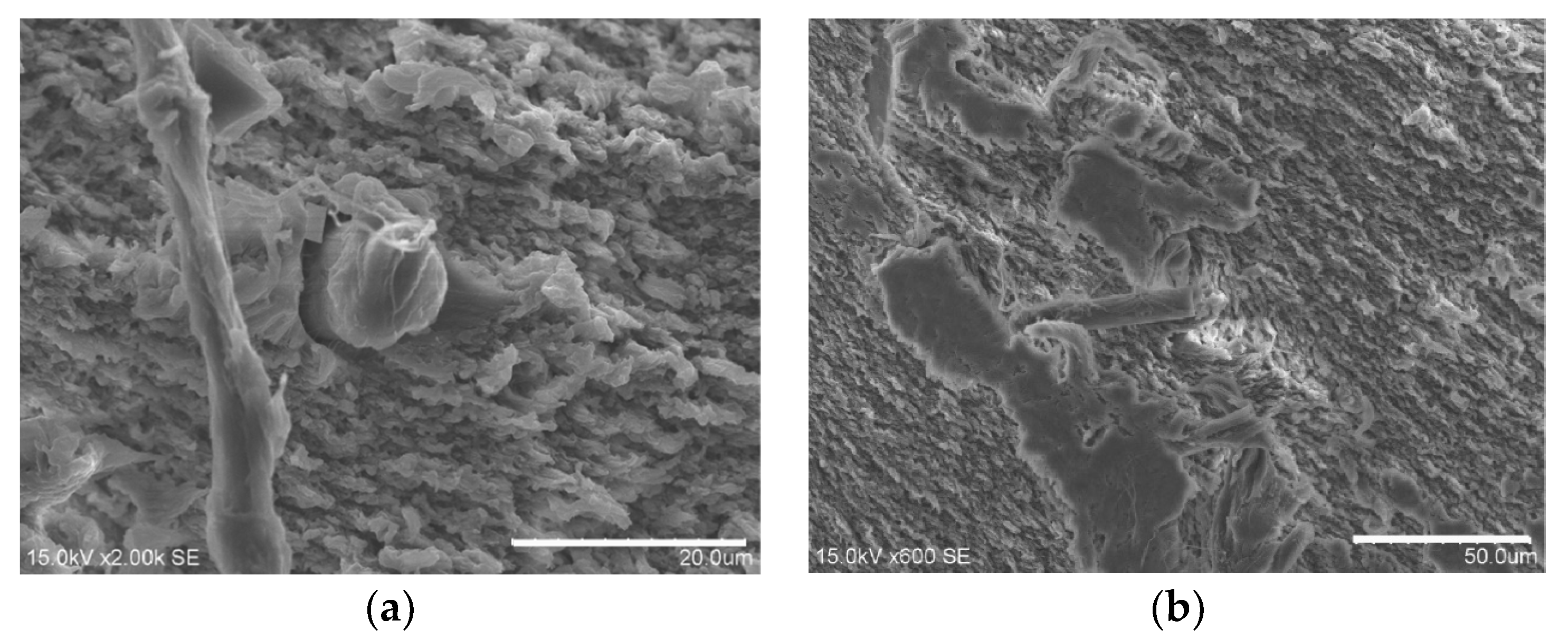 Coatings 10 01103 g011 Coatings 10 01103 g011