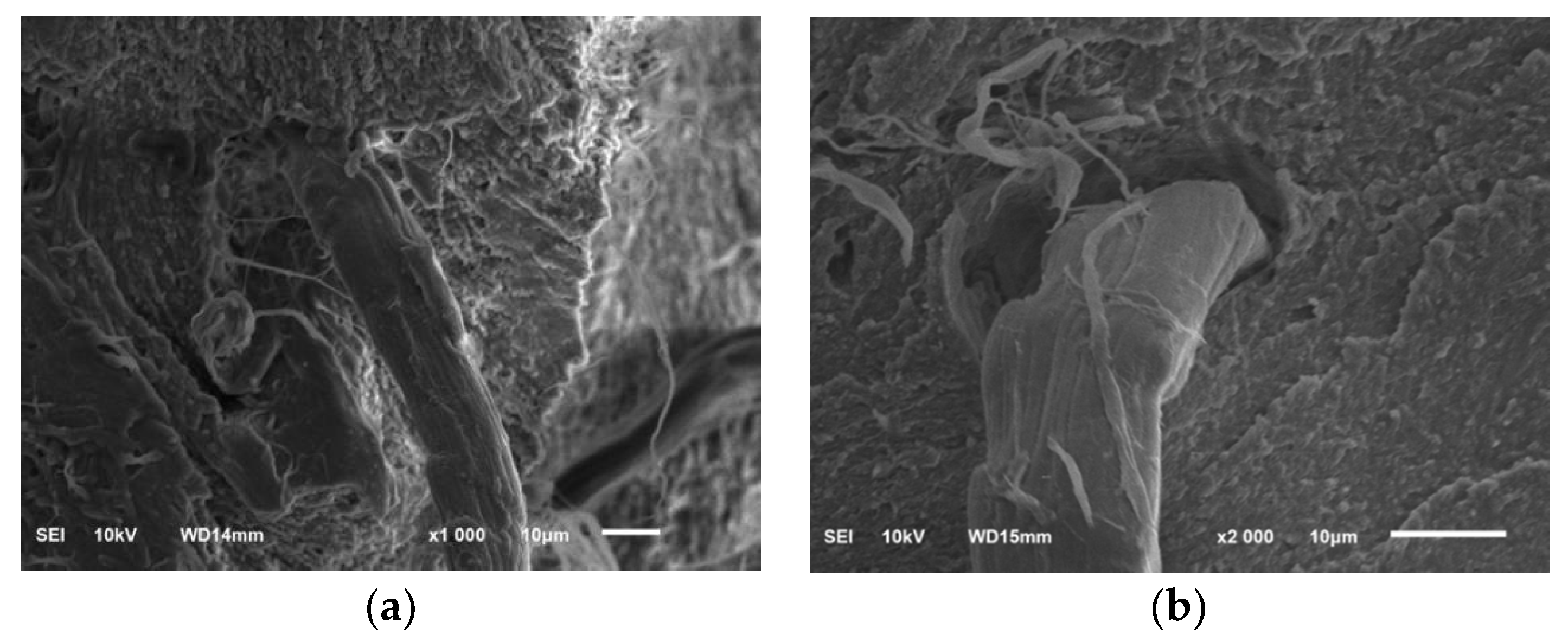 Coatings 10 01103 g020 Coatings 10 01103 g020