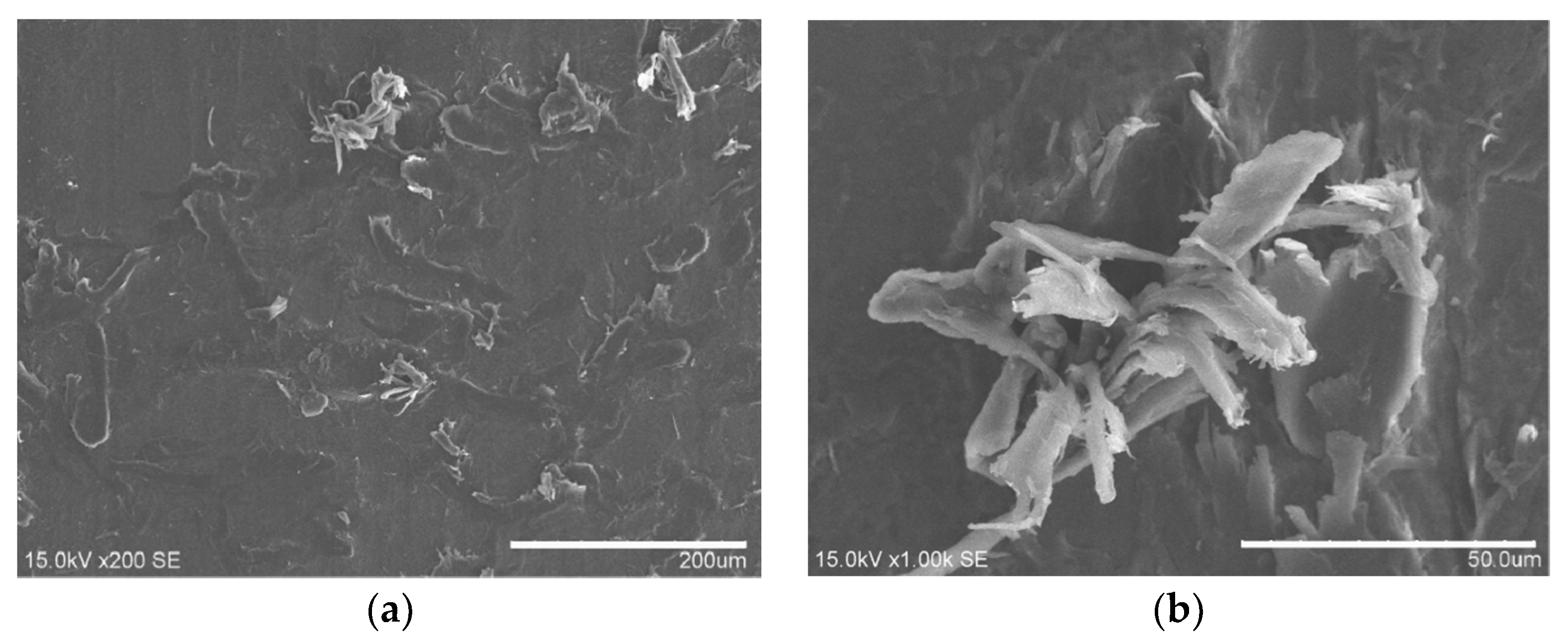 Coatings 10 01103 g023 Coatings 10 01103 g023