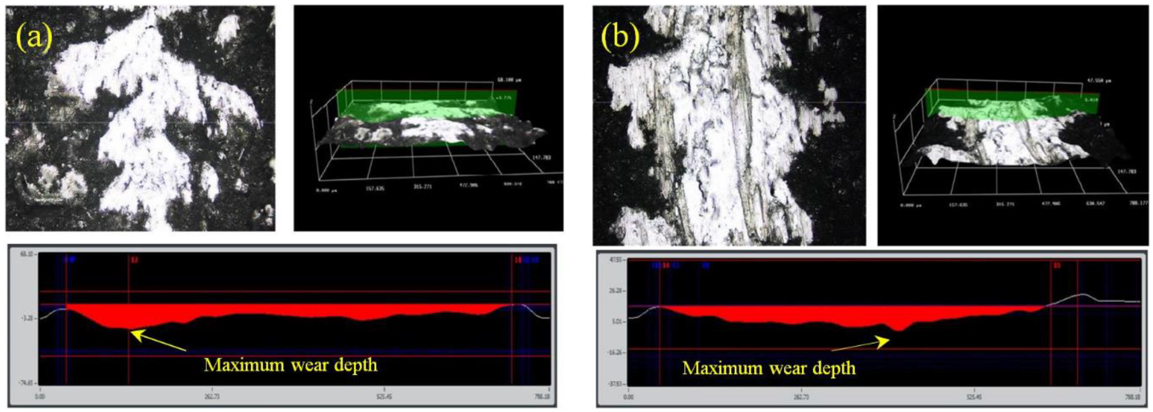 Coatings 10 01107 g001