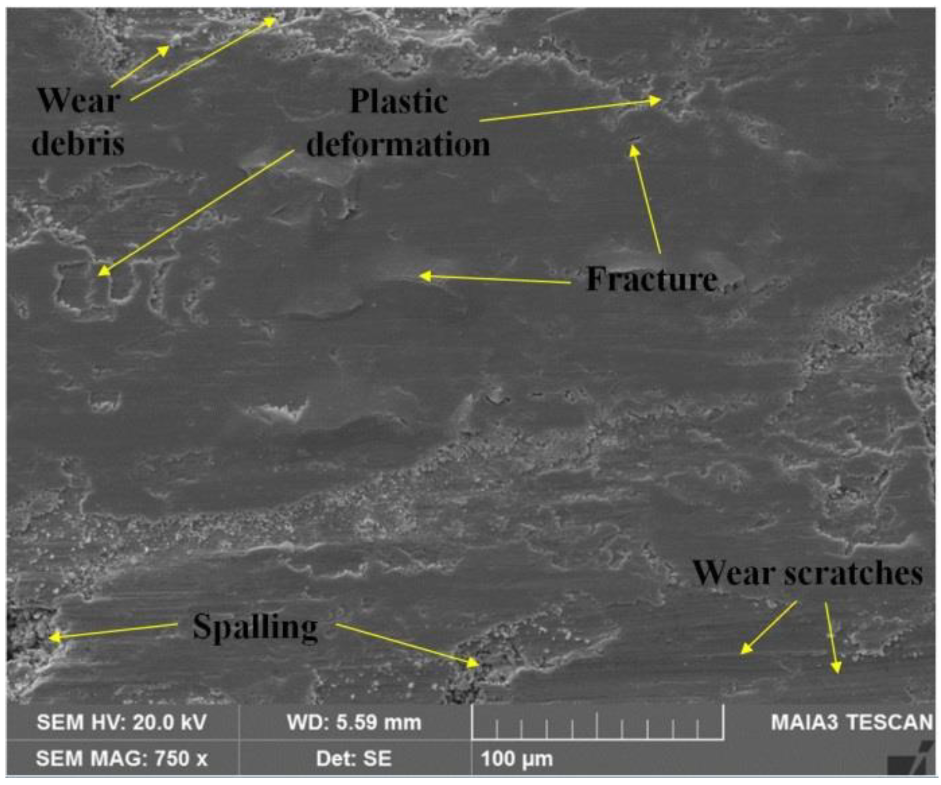 Coatings 10 01107 g004