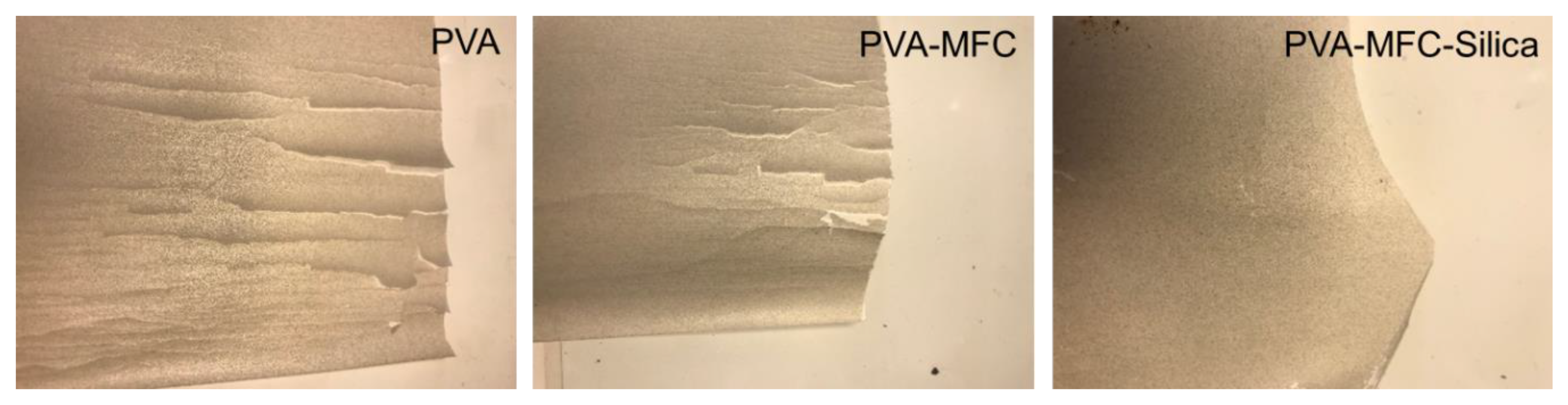 Coatings 10 01108 g006 Coatings 10 01108 g006