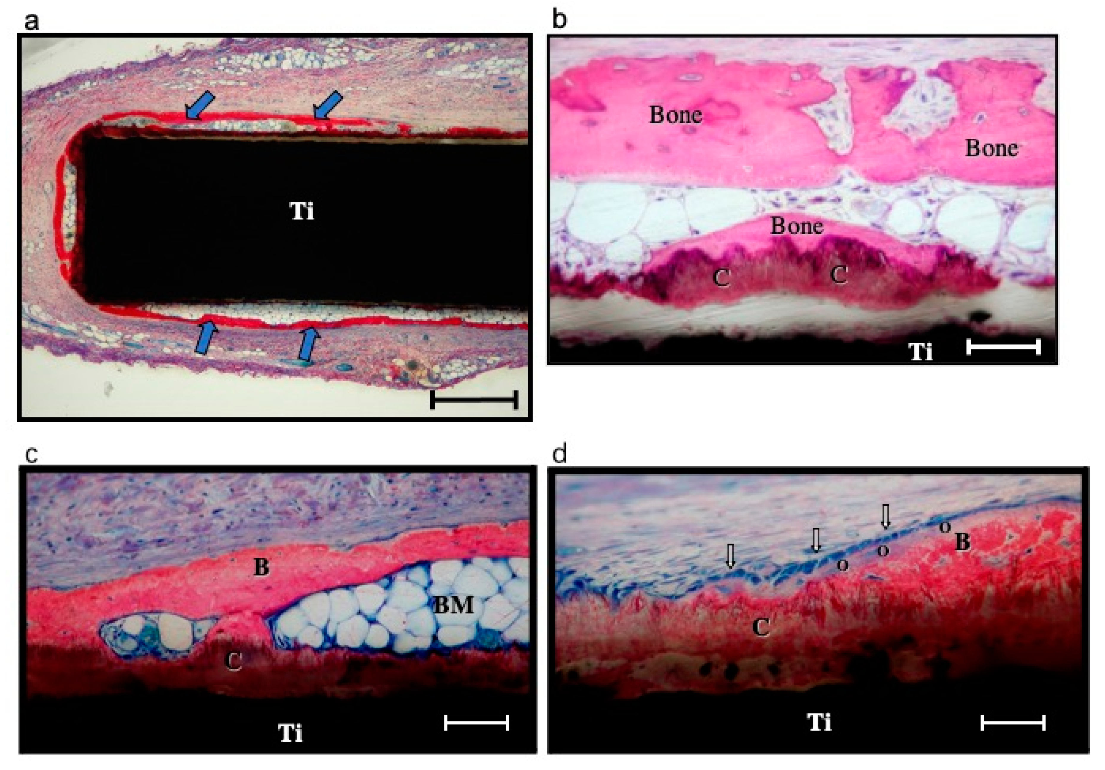 Coatings 10 01118 g003