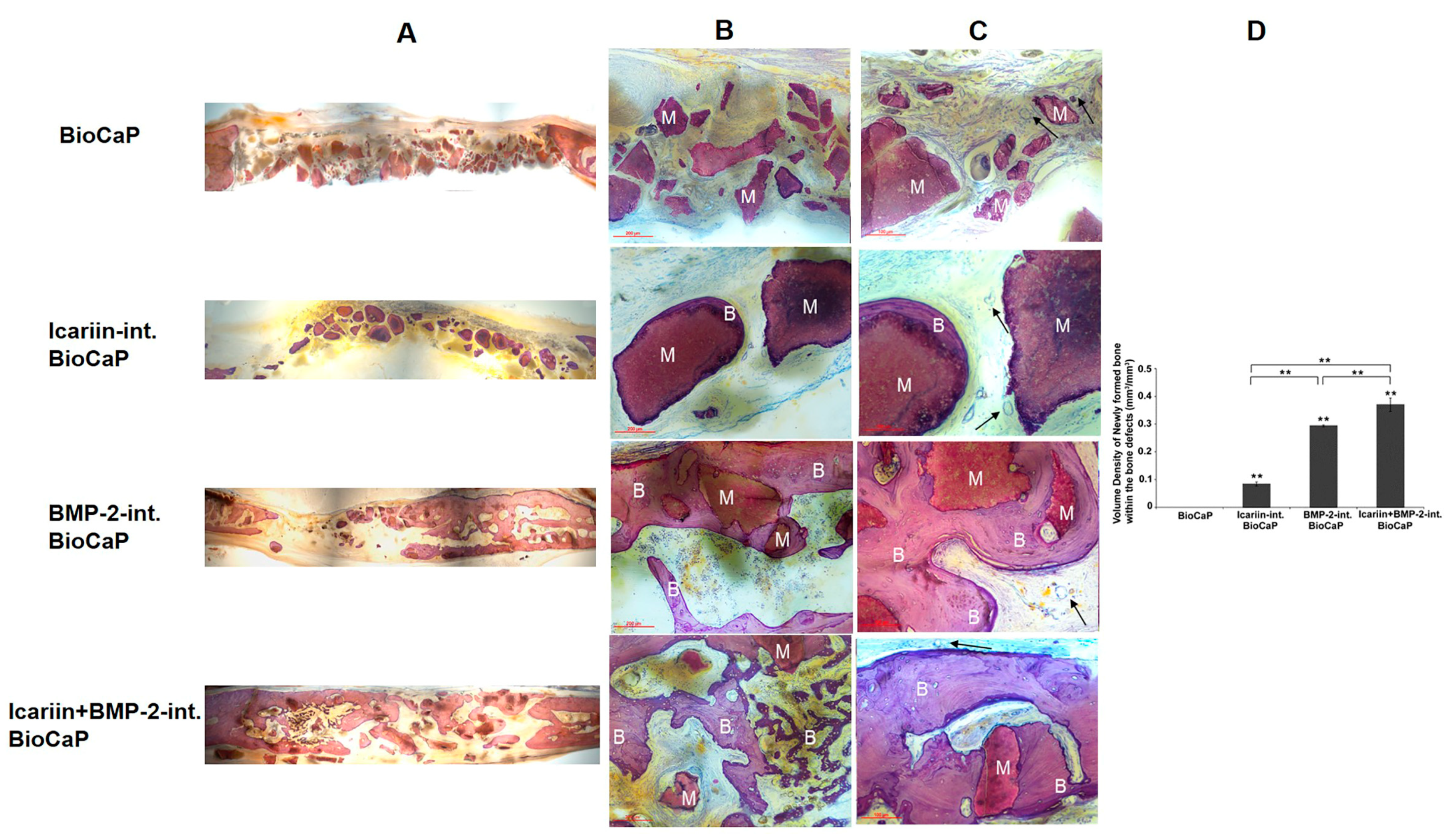 Coatings 10 01118 g005