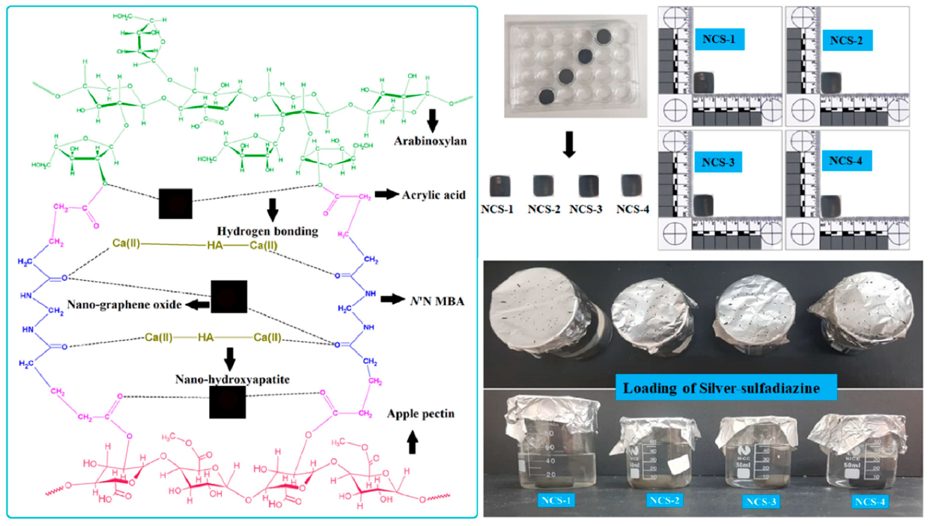 Coatings 10 01120 g002