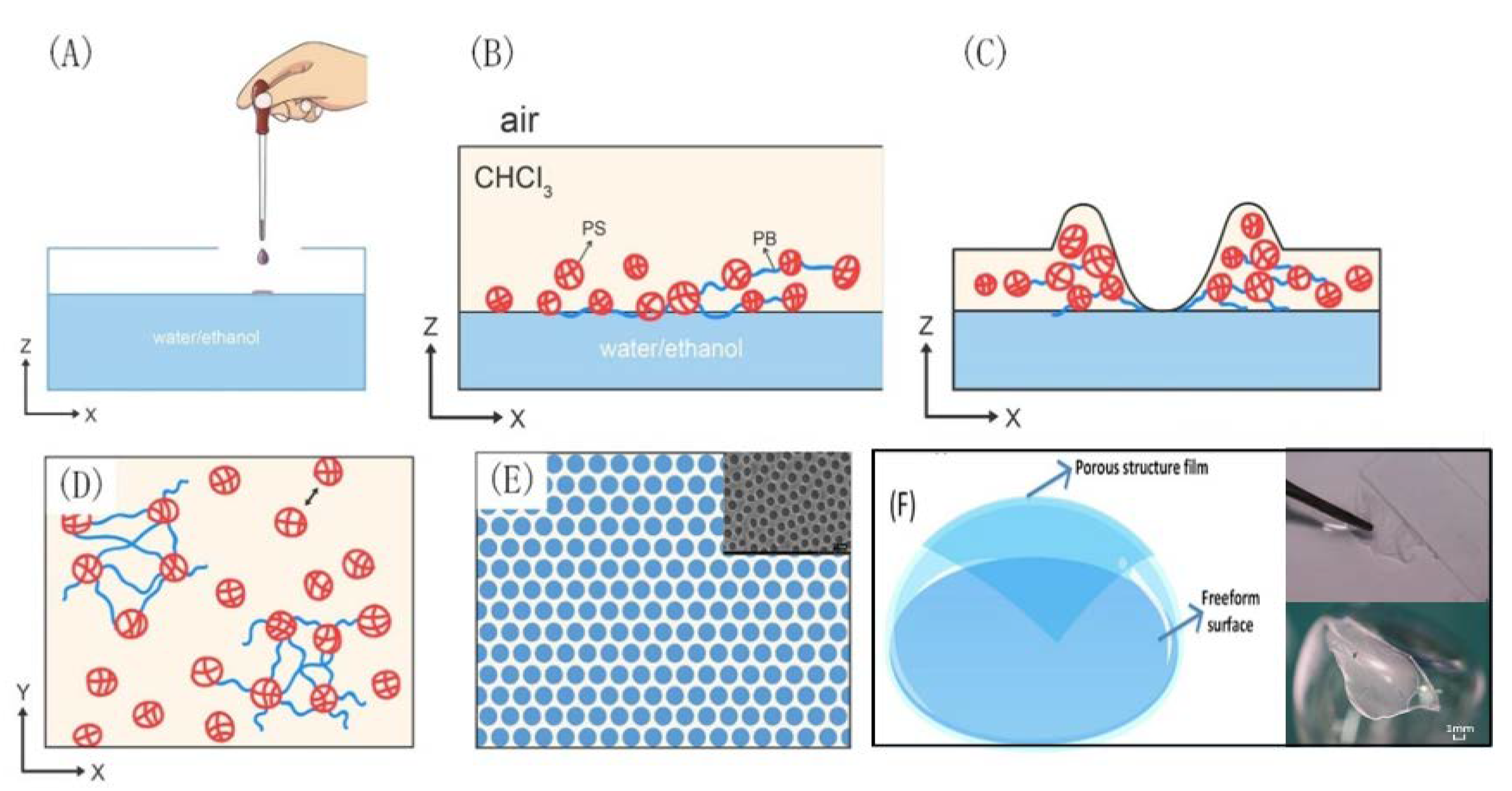 Coatings 10 01133 g001