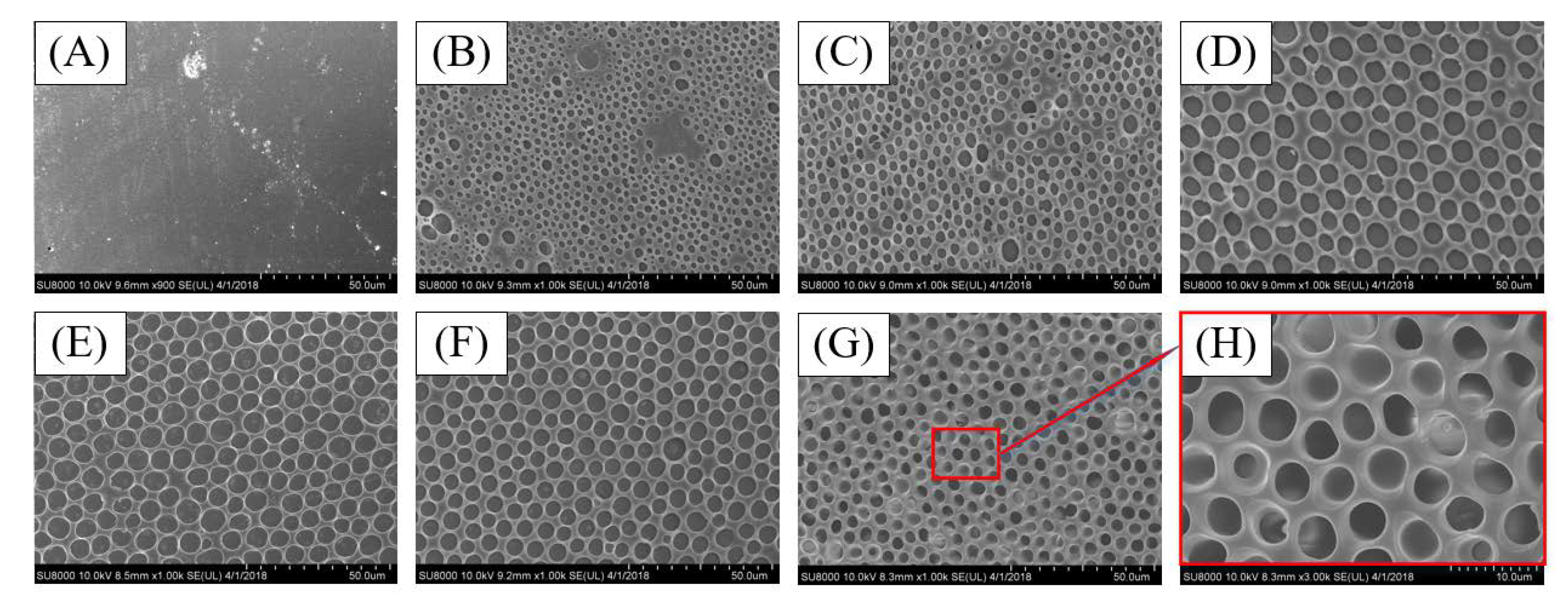Coatings 10 01133 g002