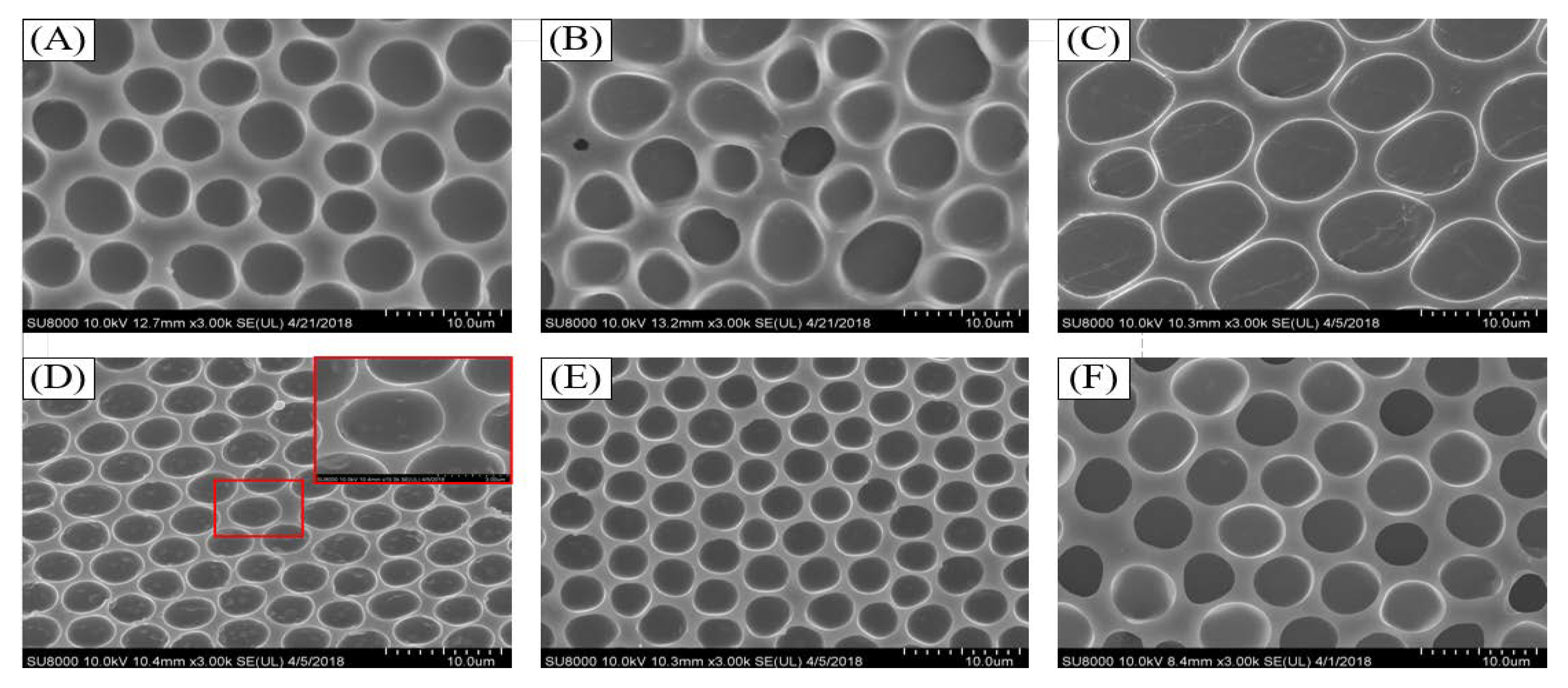 Coatings 10 01133 g004