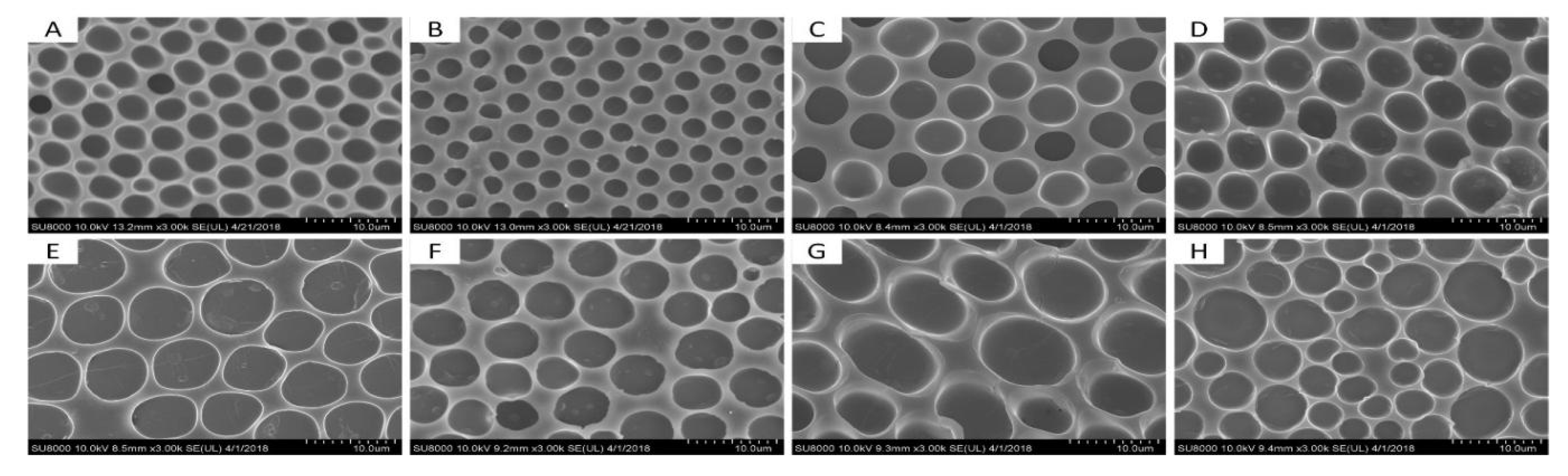 Coatings 10 01133 g006