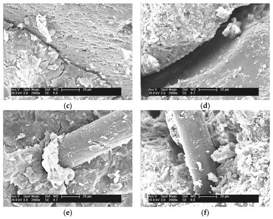 PVC Powder Polyvinyl Chloride Plastic powder PVC Resin Powder Ultra-fine  Powder Particles 30-2000 Mesh 100 Gram Stable Nature