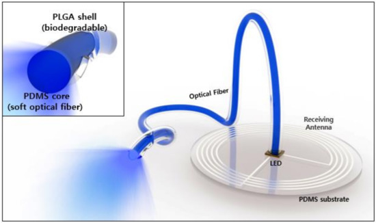Soft, stretchable, fully implantable miniaturized optoelectronic systems  for wireless optogenetics