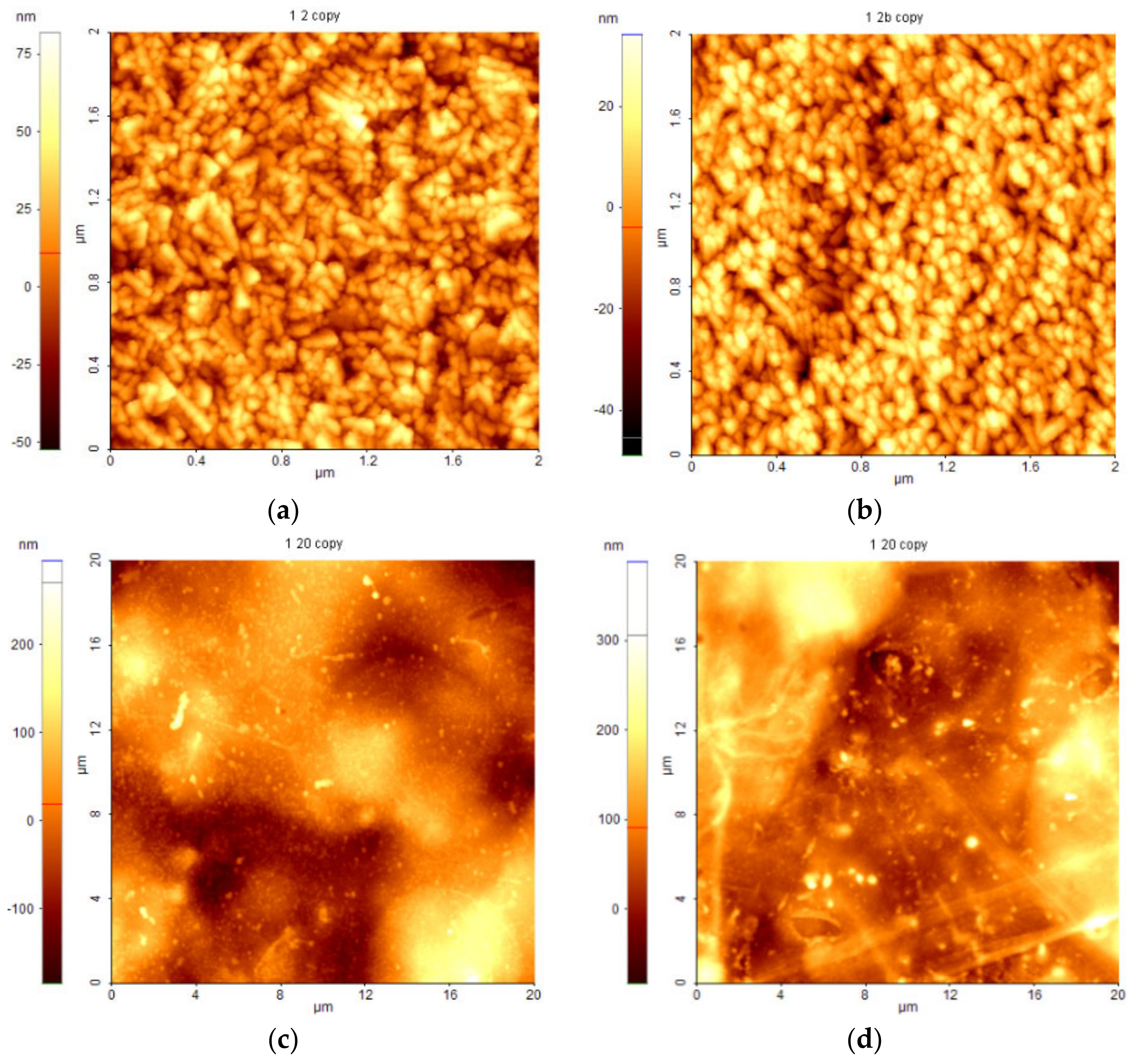 Coatings 10 01155 g001