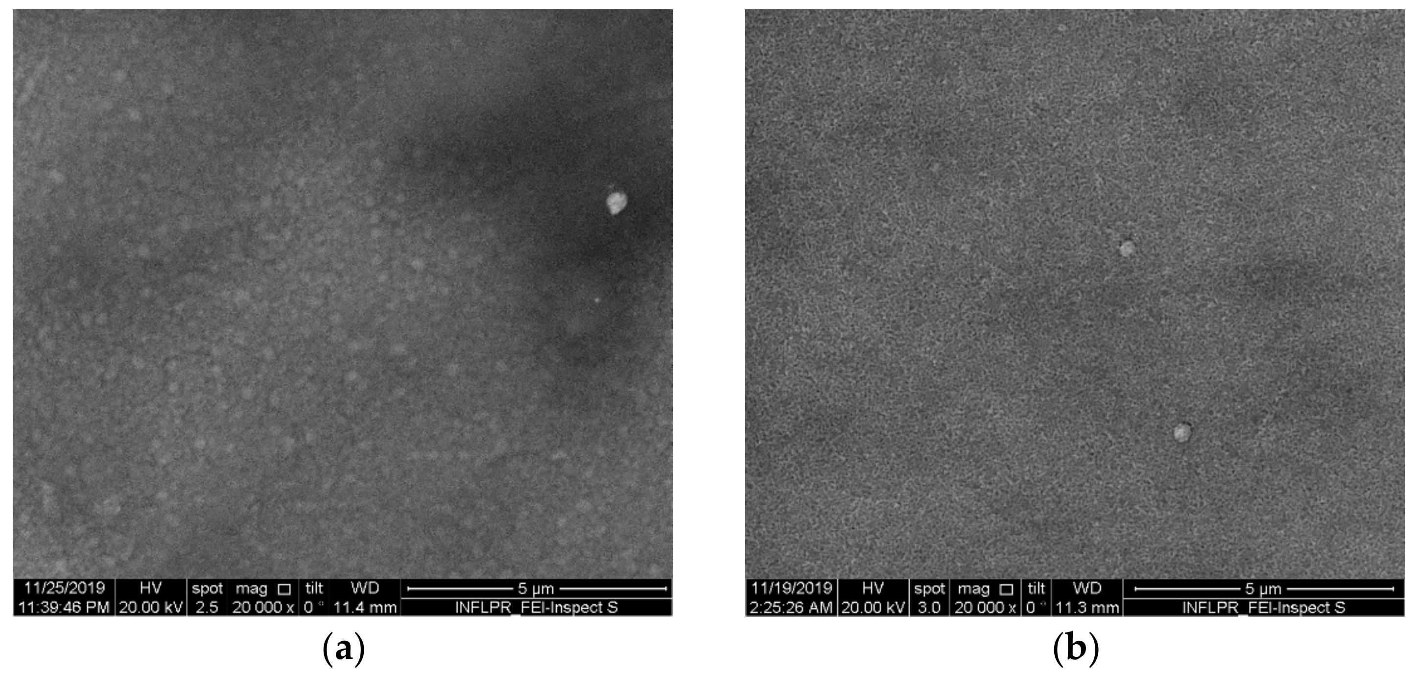 Coatings 10 01155 g002a