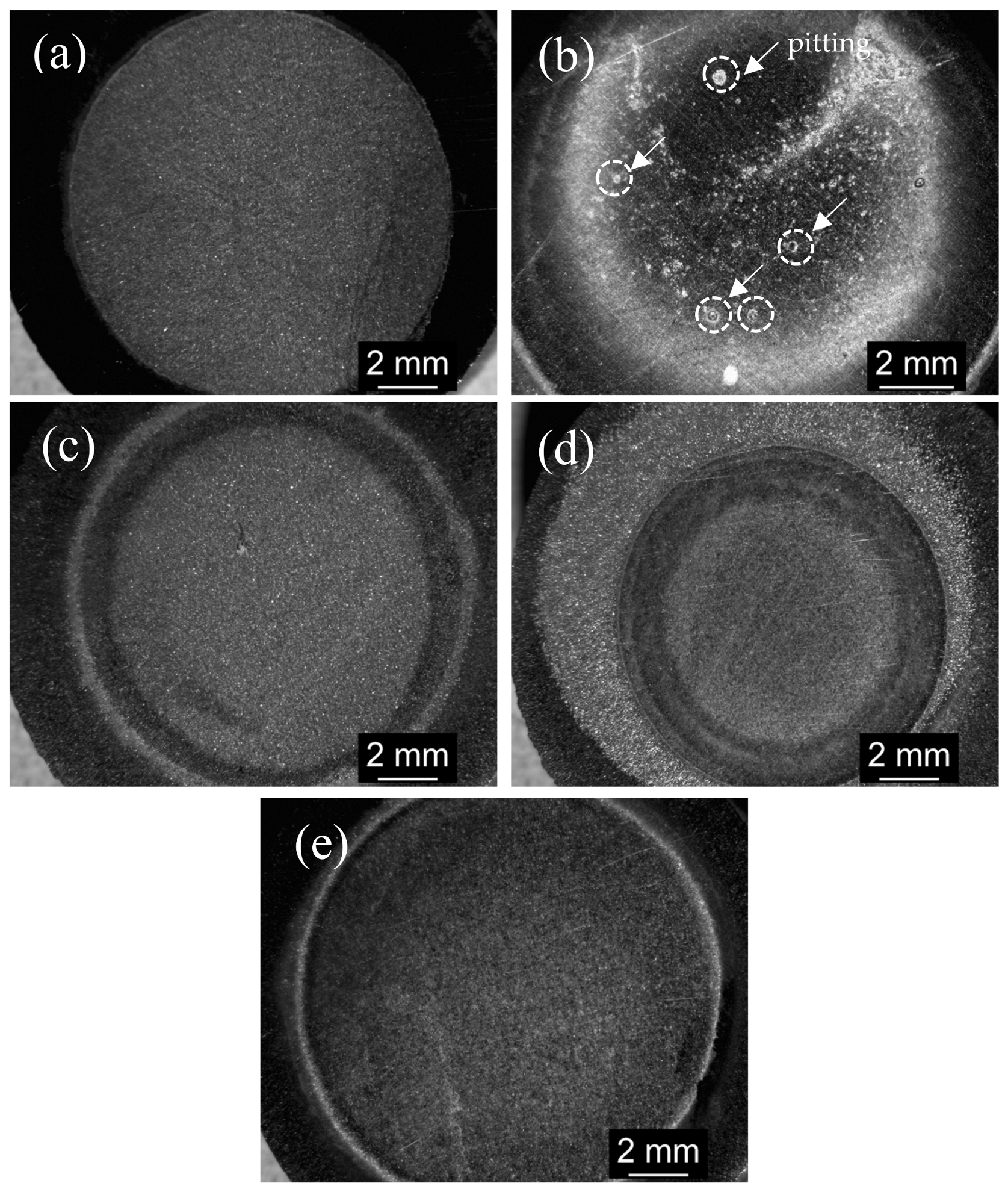 Coatings 10 01156 g007