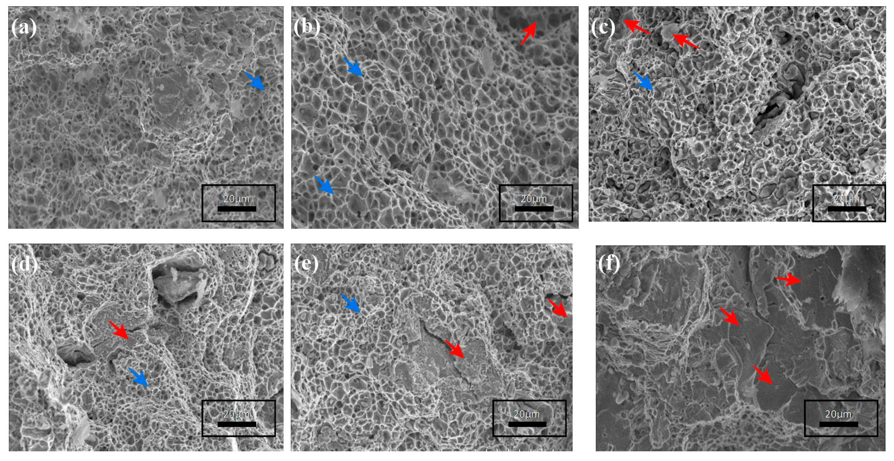 Coatings 10 01166 g004