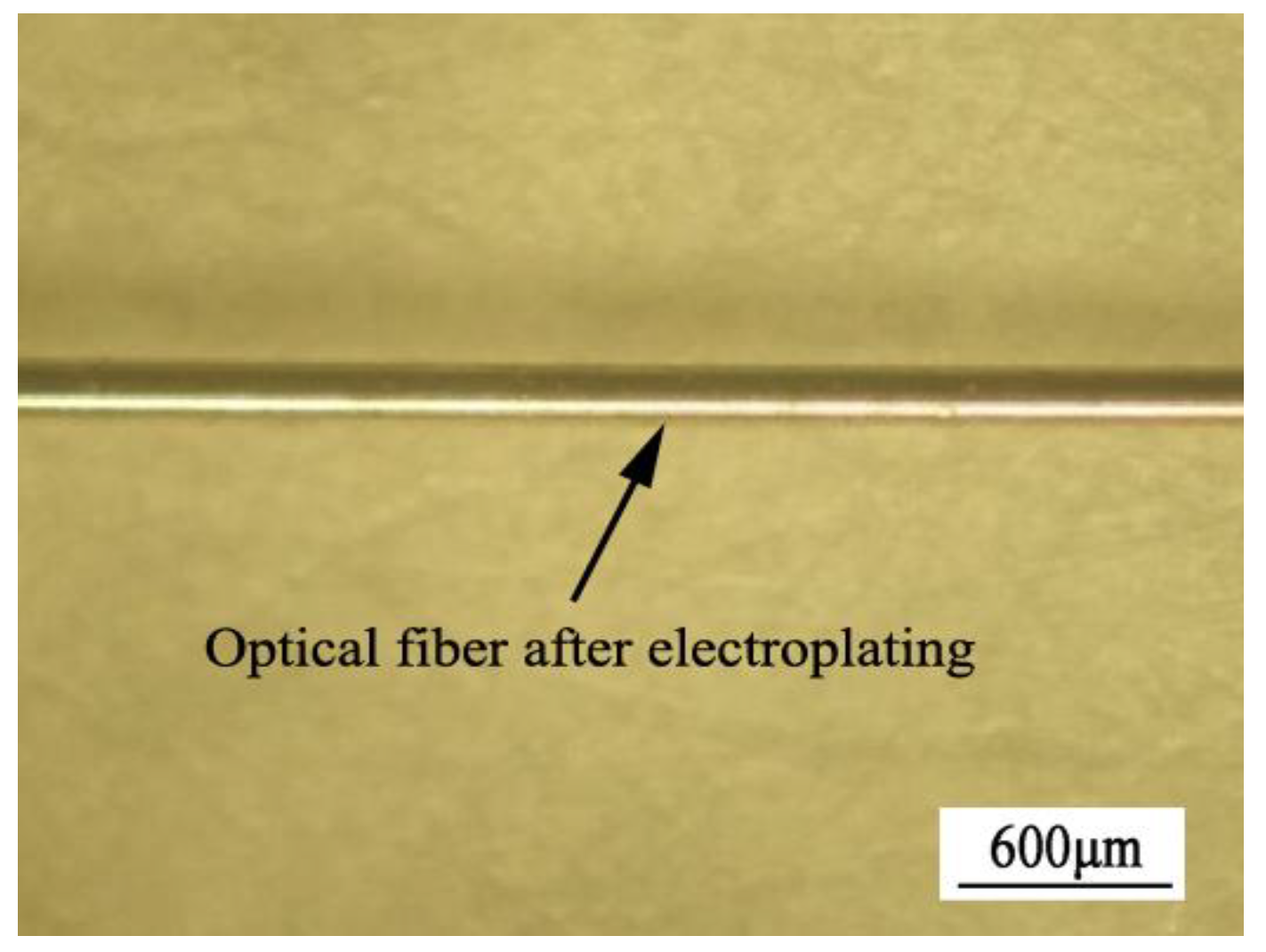 Coatings 10 01174 g003 Coatings 10 01174 g003