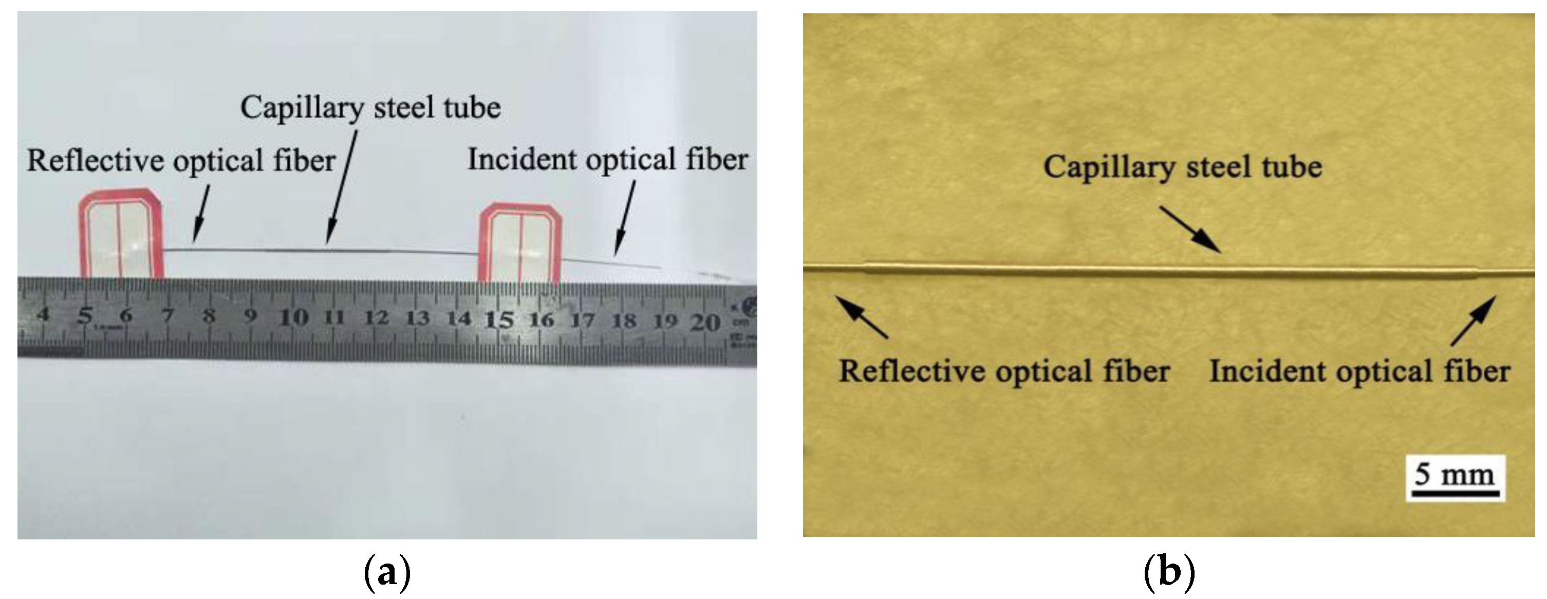 Coatings 10 01174 g005 Coatings 10 01174 g005