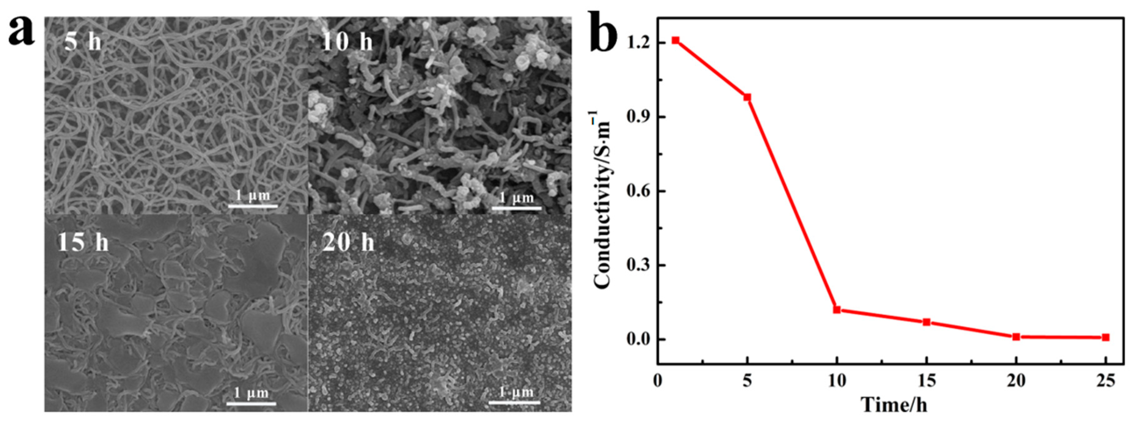 Coatings 10 01189 g003