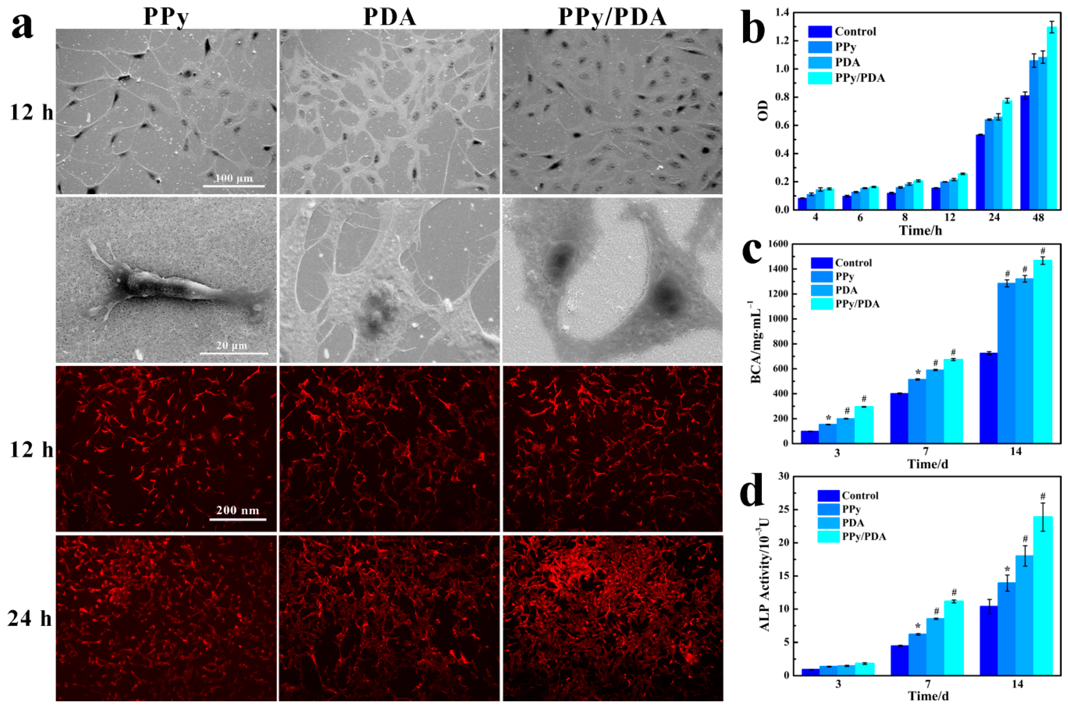 Coatings 10 01189 g005