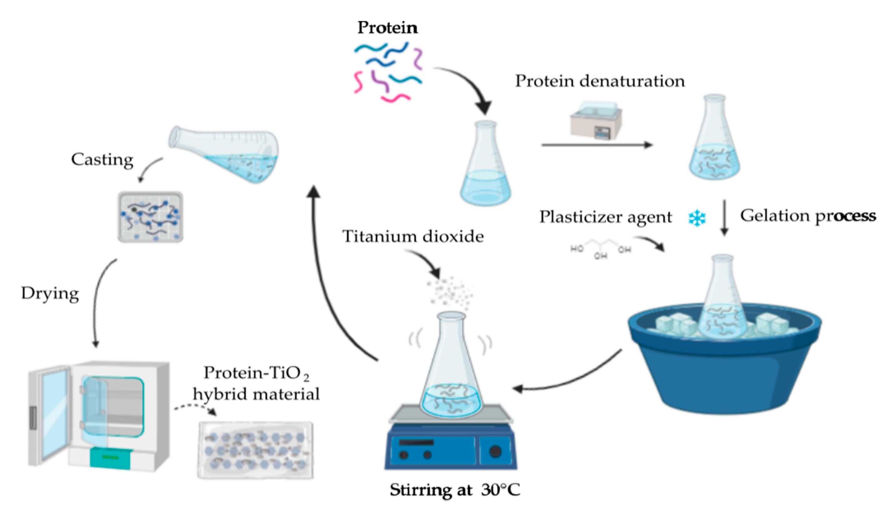 Coatings 10 01194 g001
