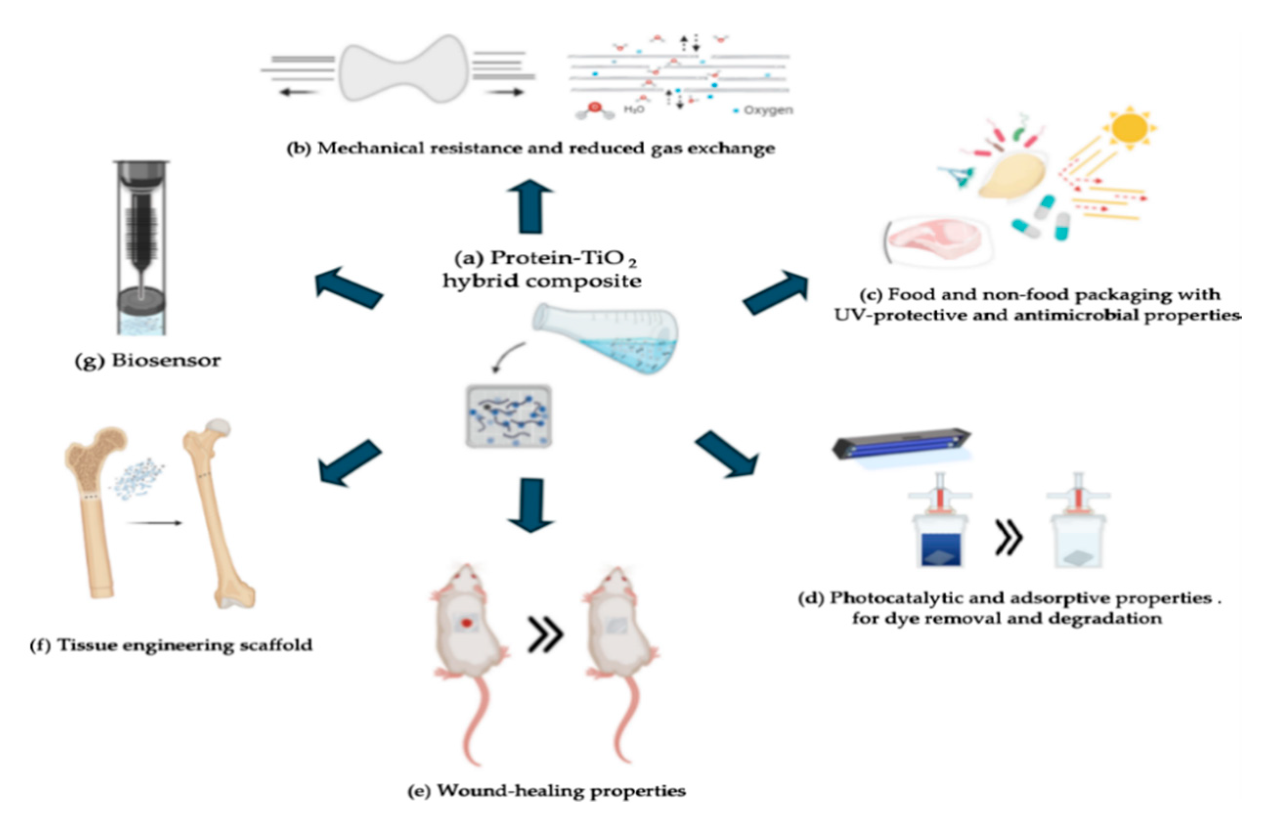 Coatings 10 01194 g002