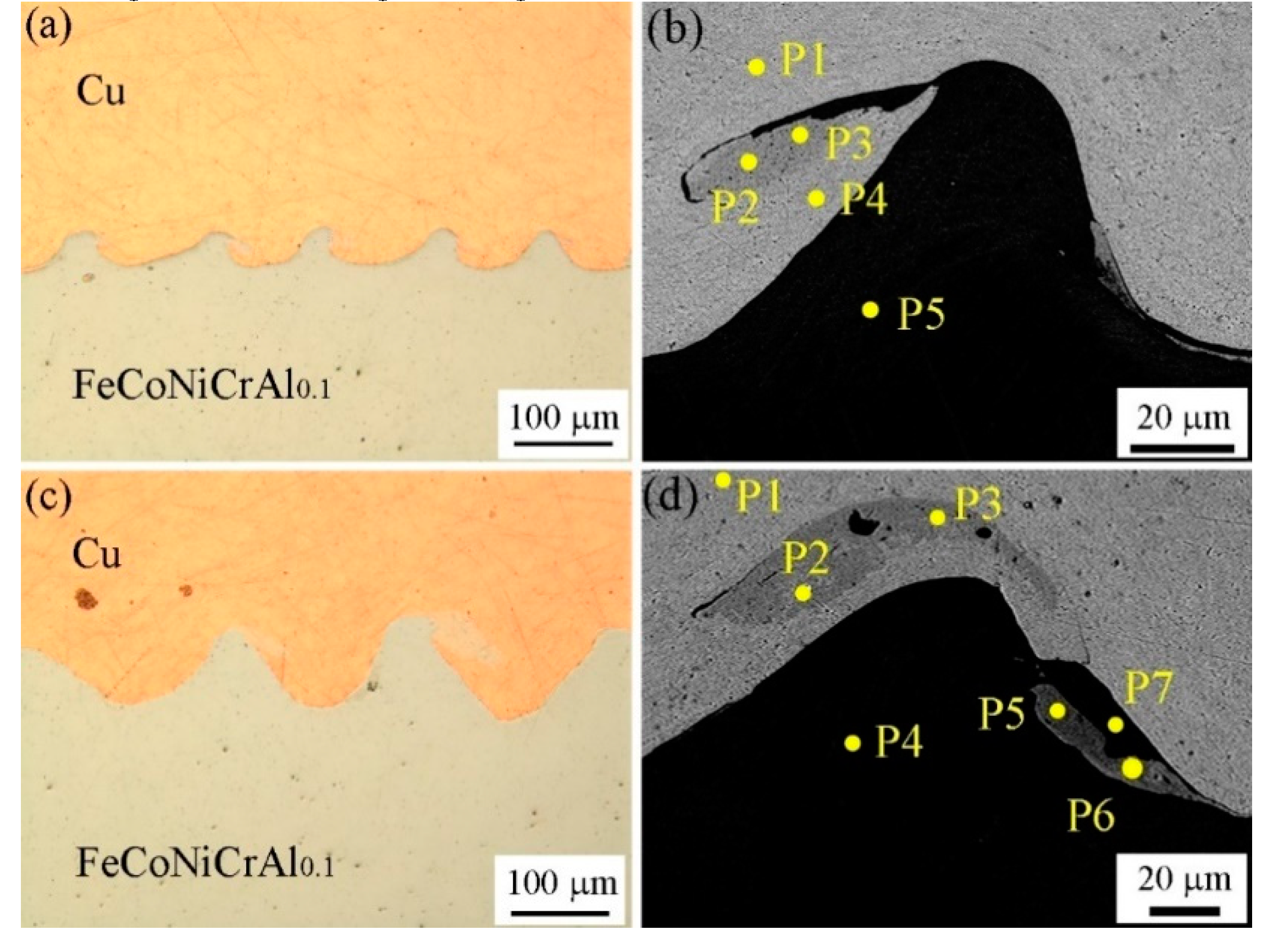 Coatings 10 01197 g003