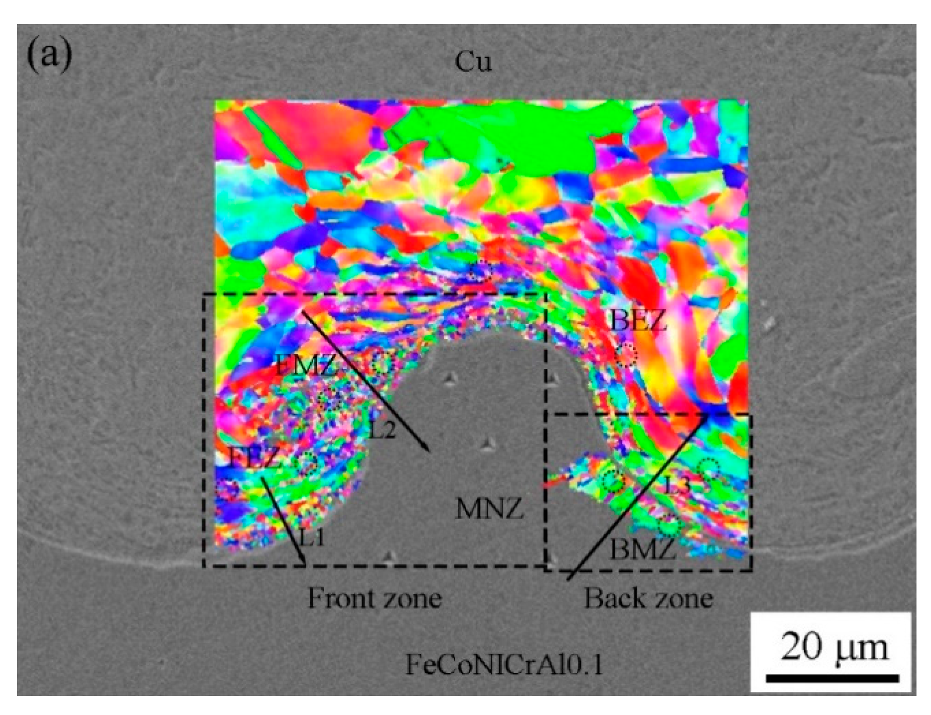 Coatings 10 01197 g007a