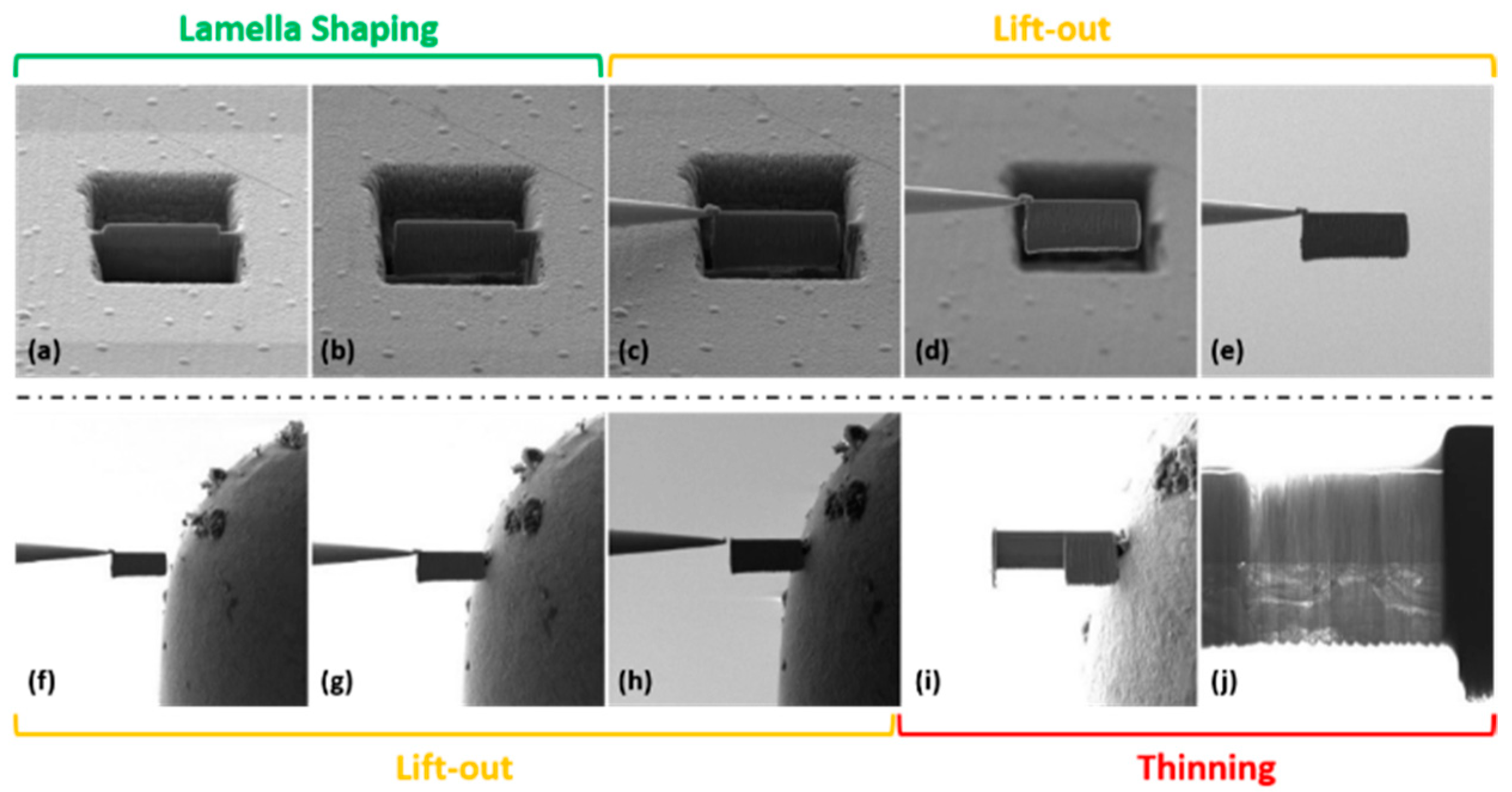 Coatings 10 01211 g005