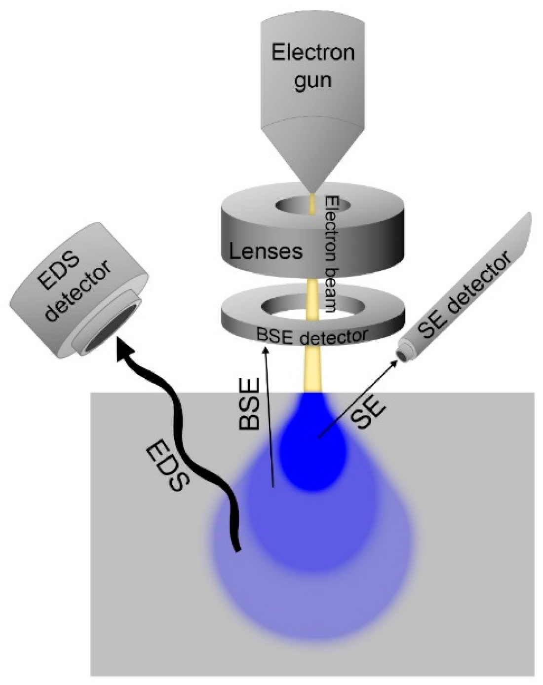Coatings 10 01211 g007