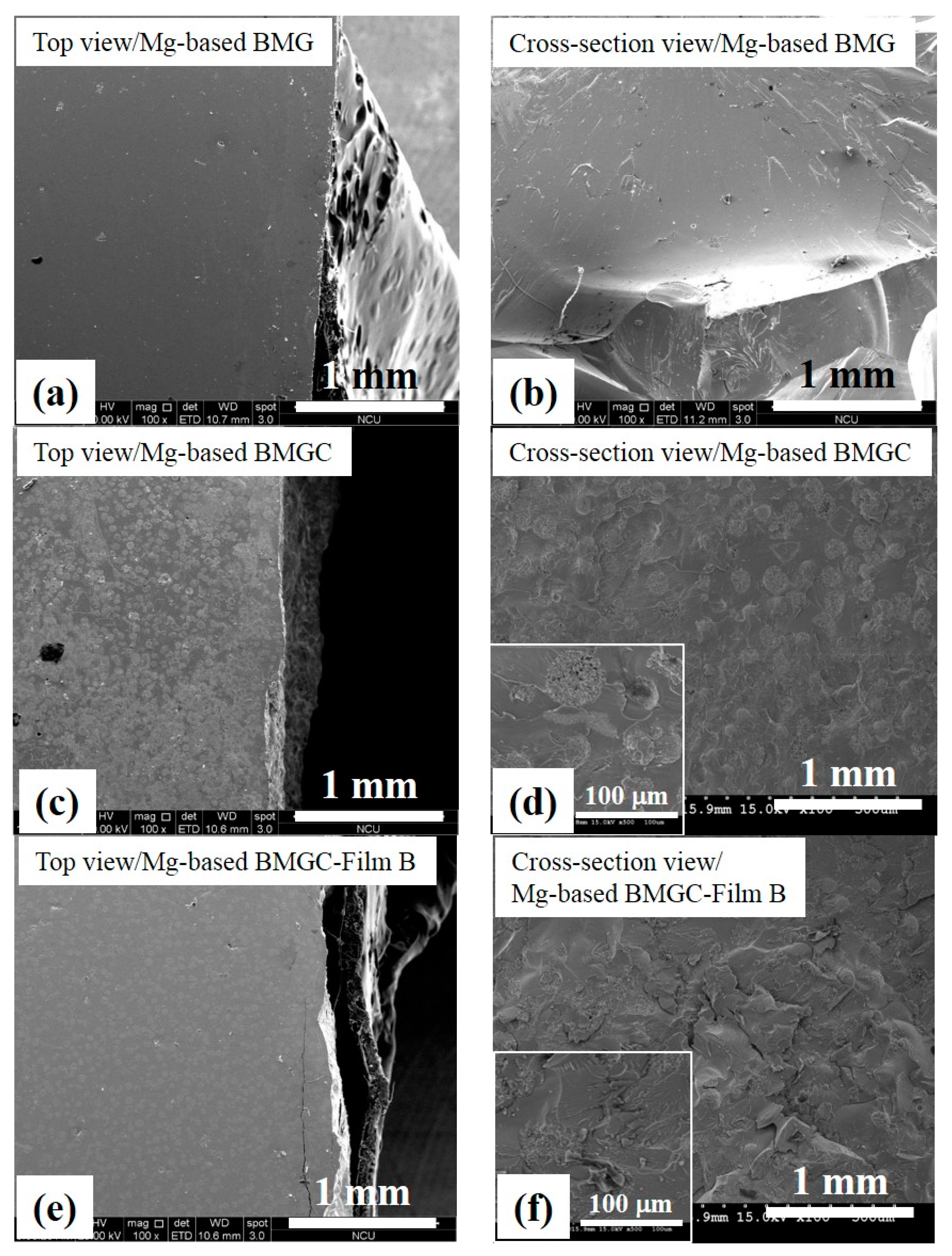 Coatings 10 01212 g007 Coatings 10 01212 g007