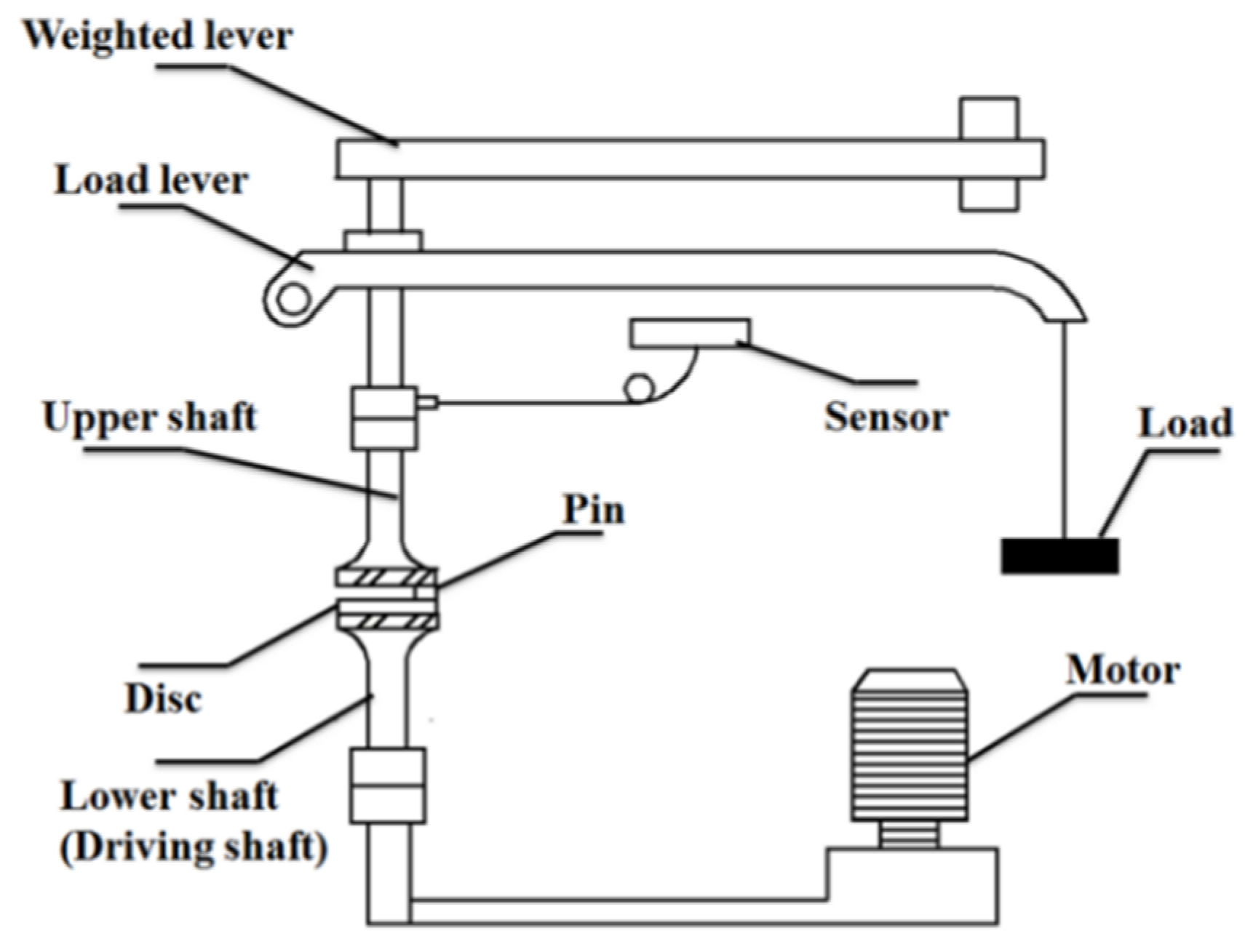 Coatings 10 01225 g003