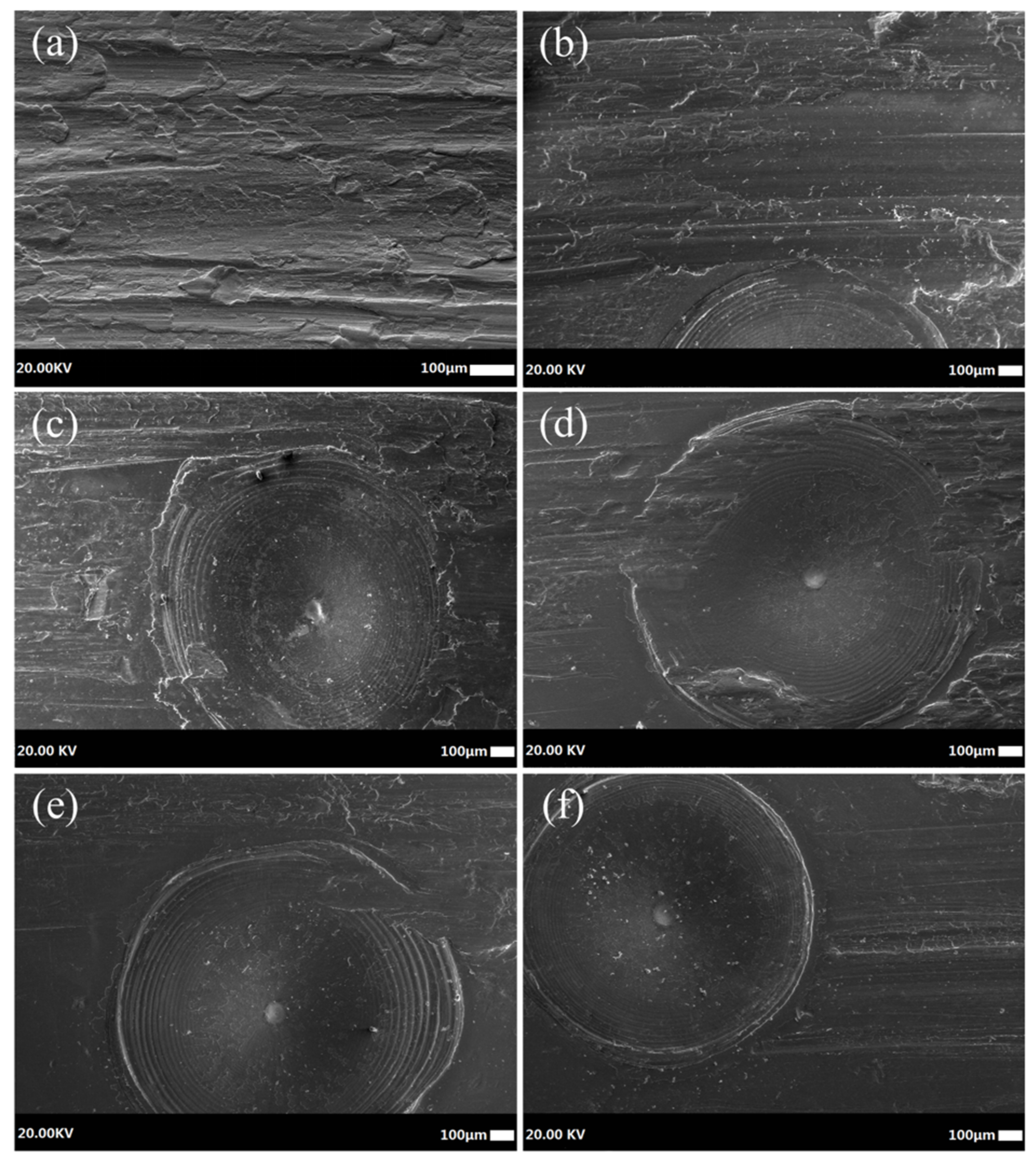 Coatings 10 01225 g010