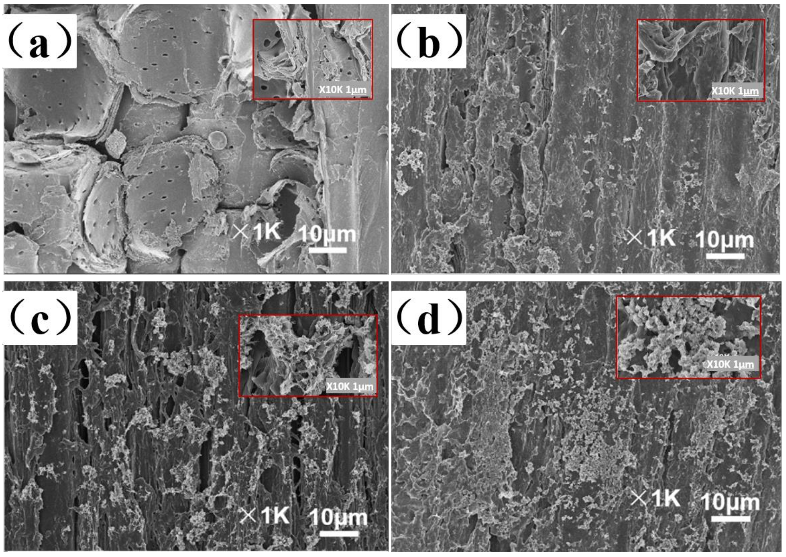 Coatings 10 01233 g003