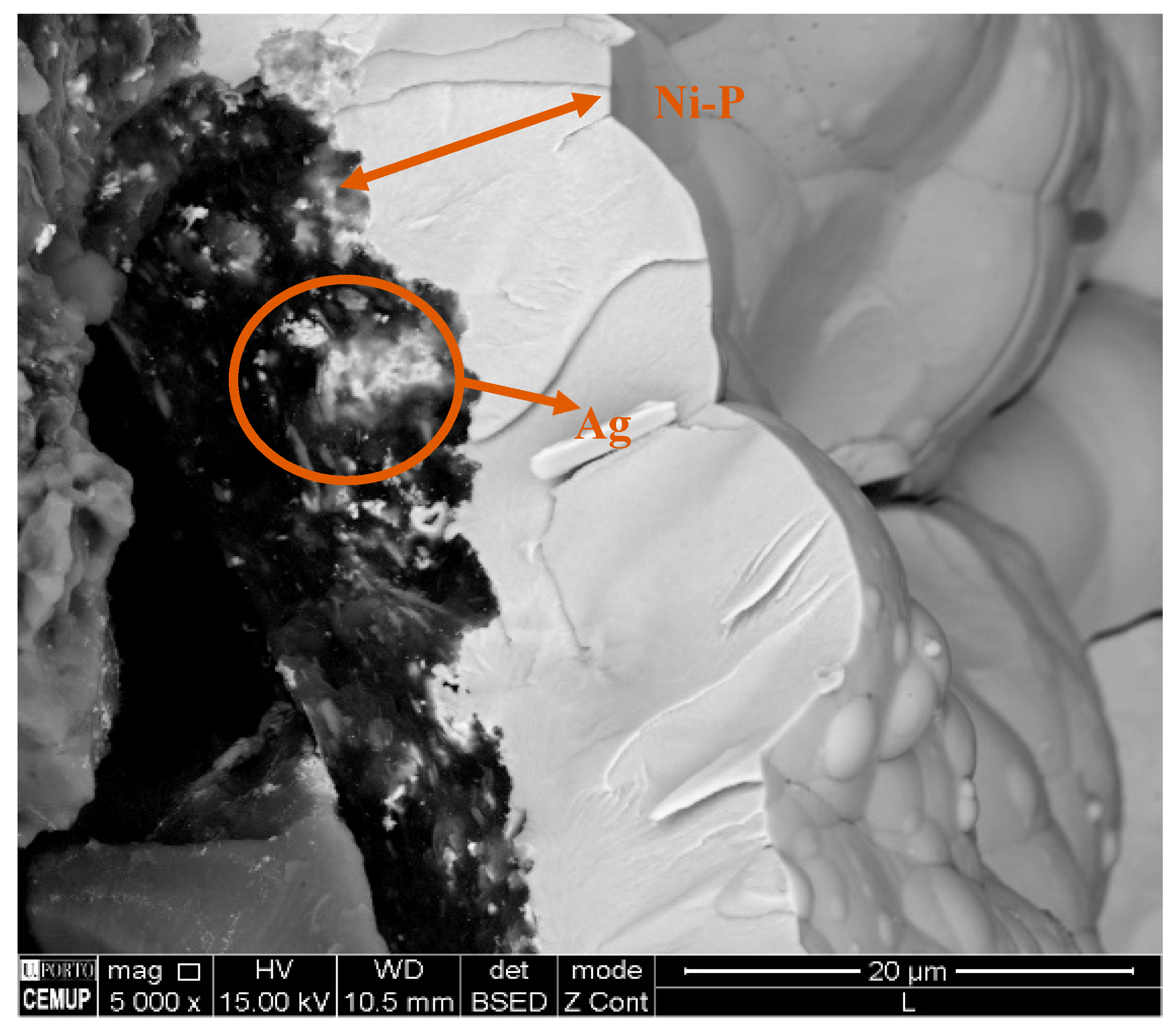 Coatings 10 01237 g007