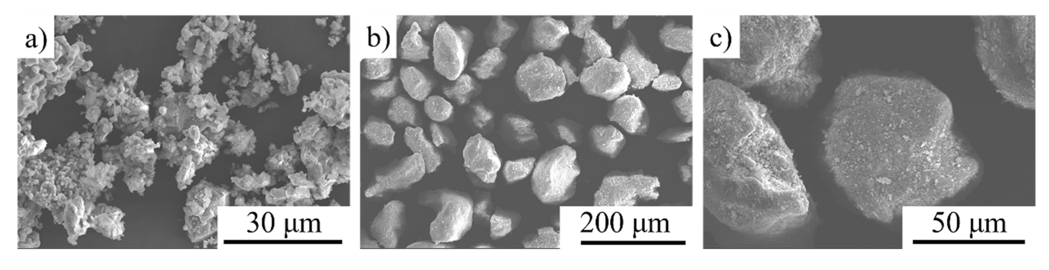 Coatings 10 01268 g003