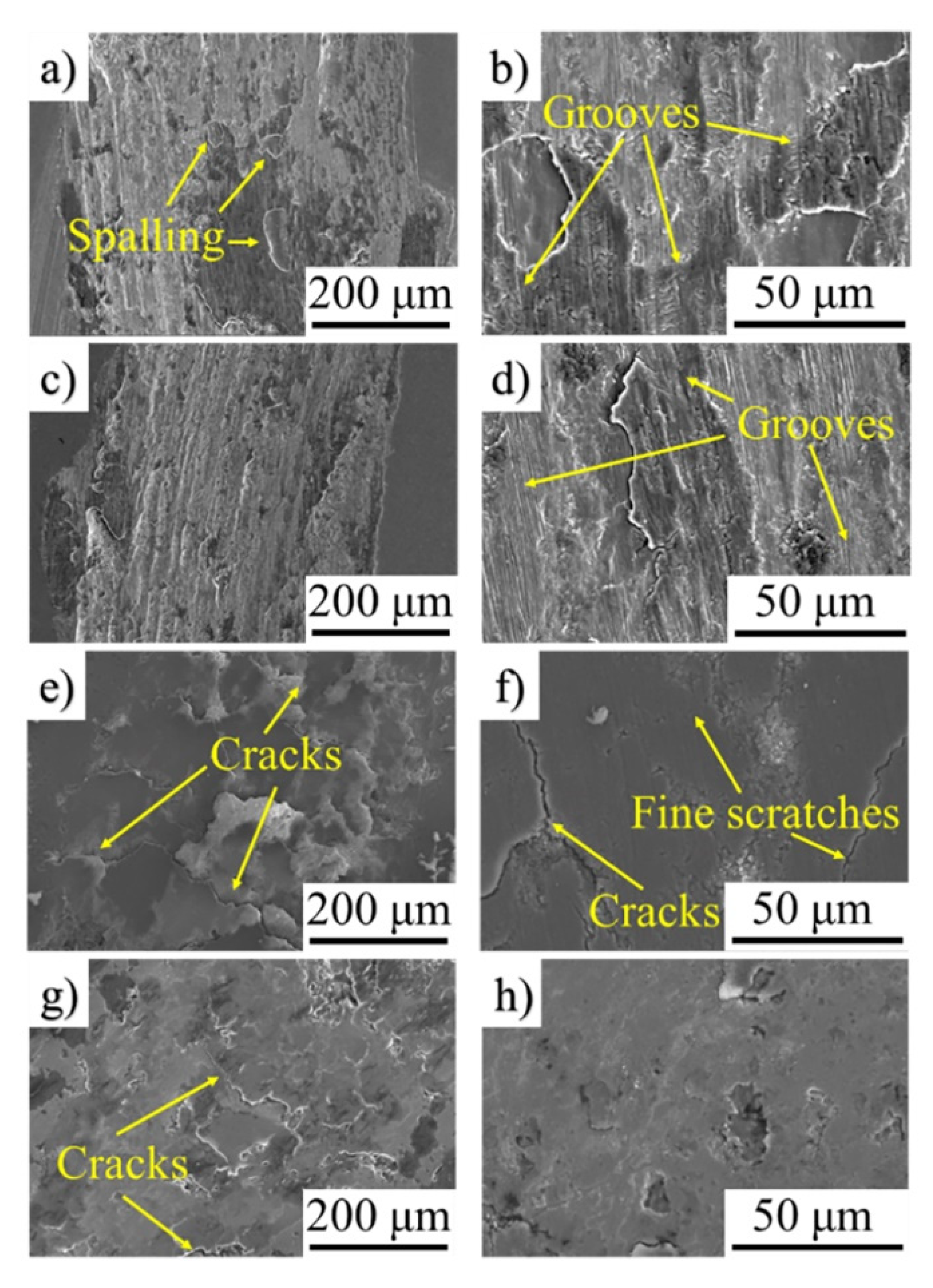 Coatings 10 01268 g011