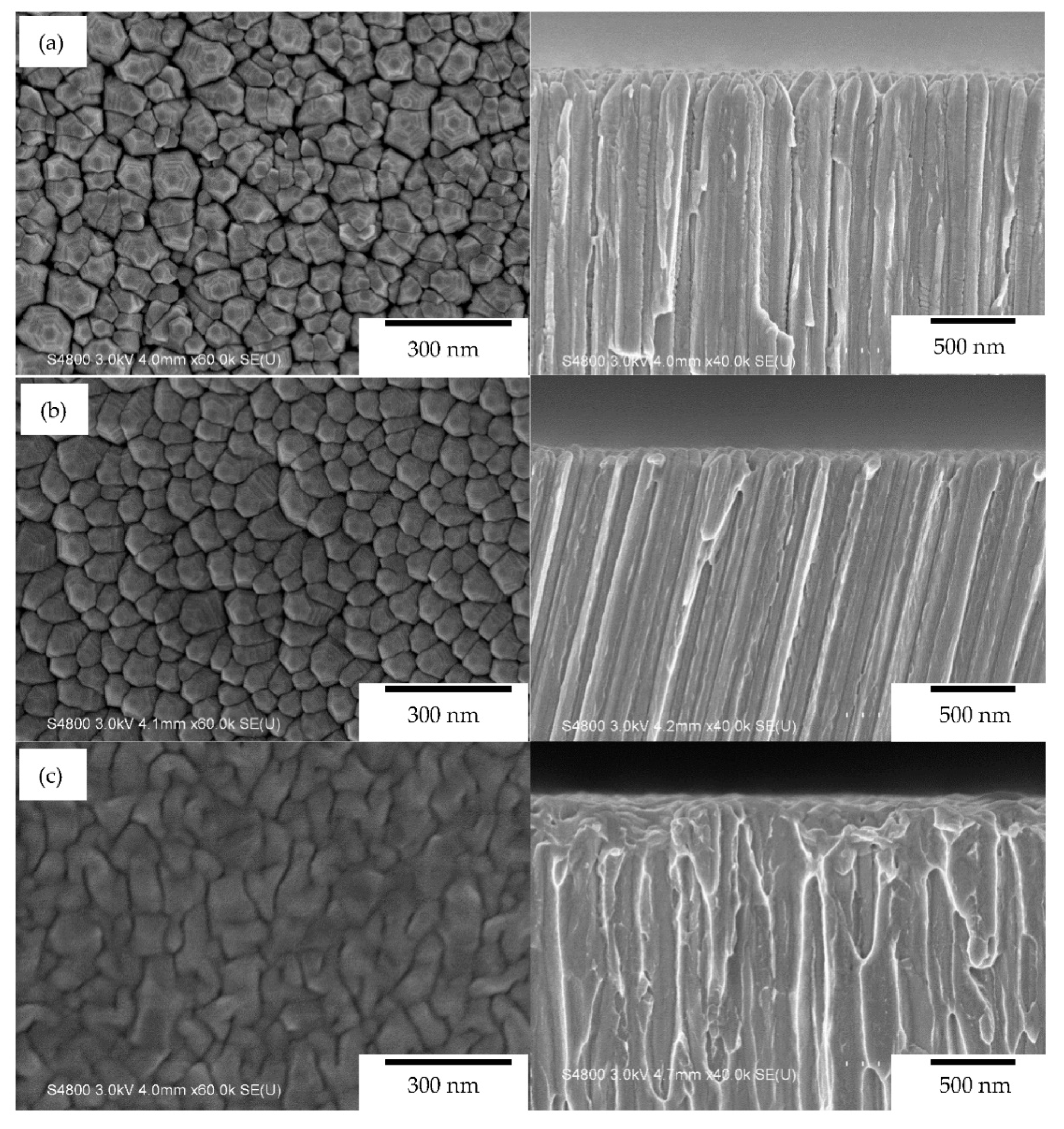 Coatings 11 00007 g003 Coatings 11 00007 g003