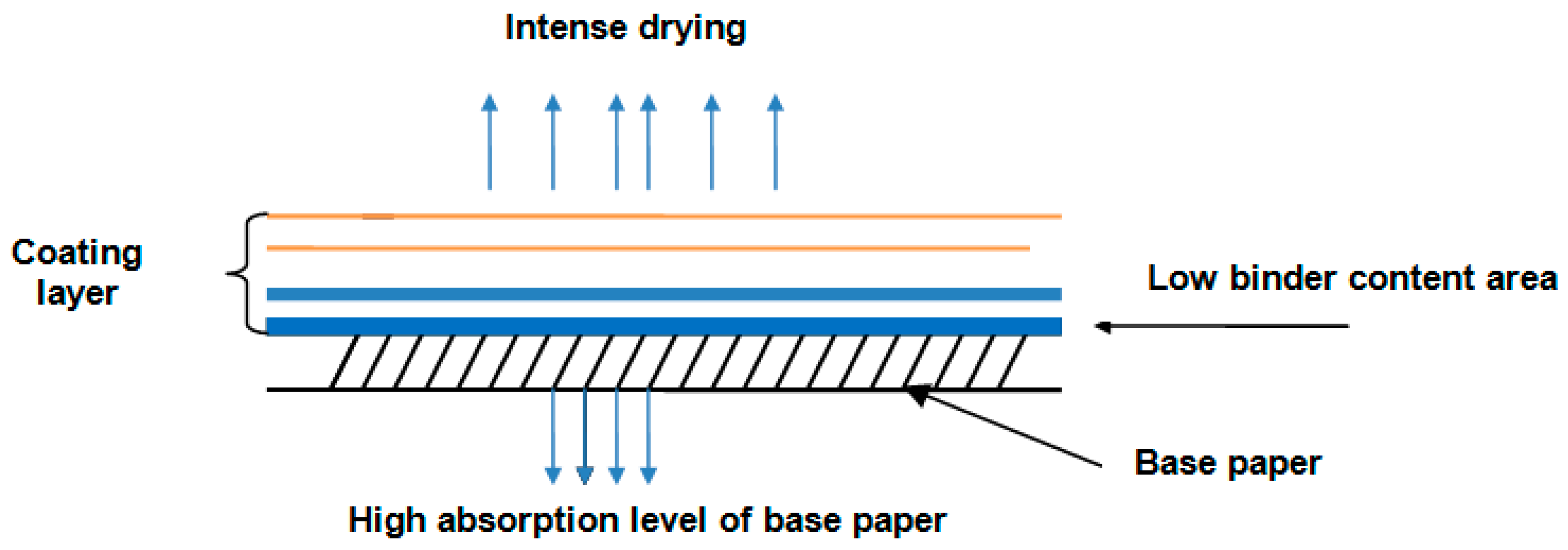 Coatings 11 00012 g003