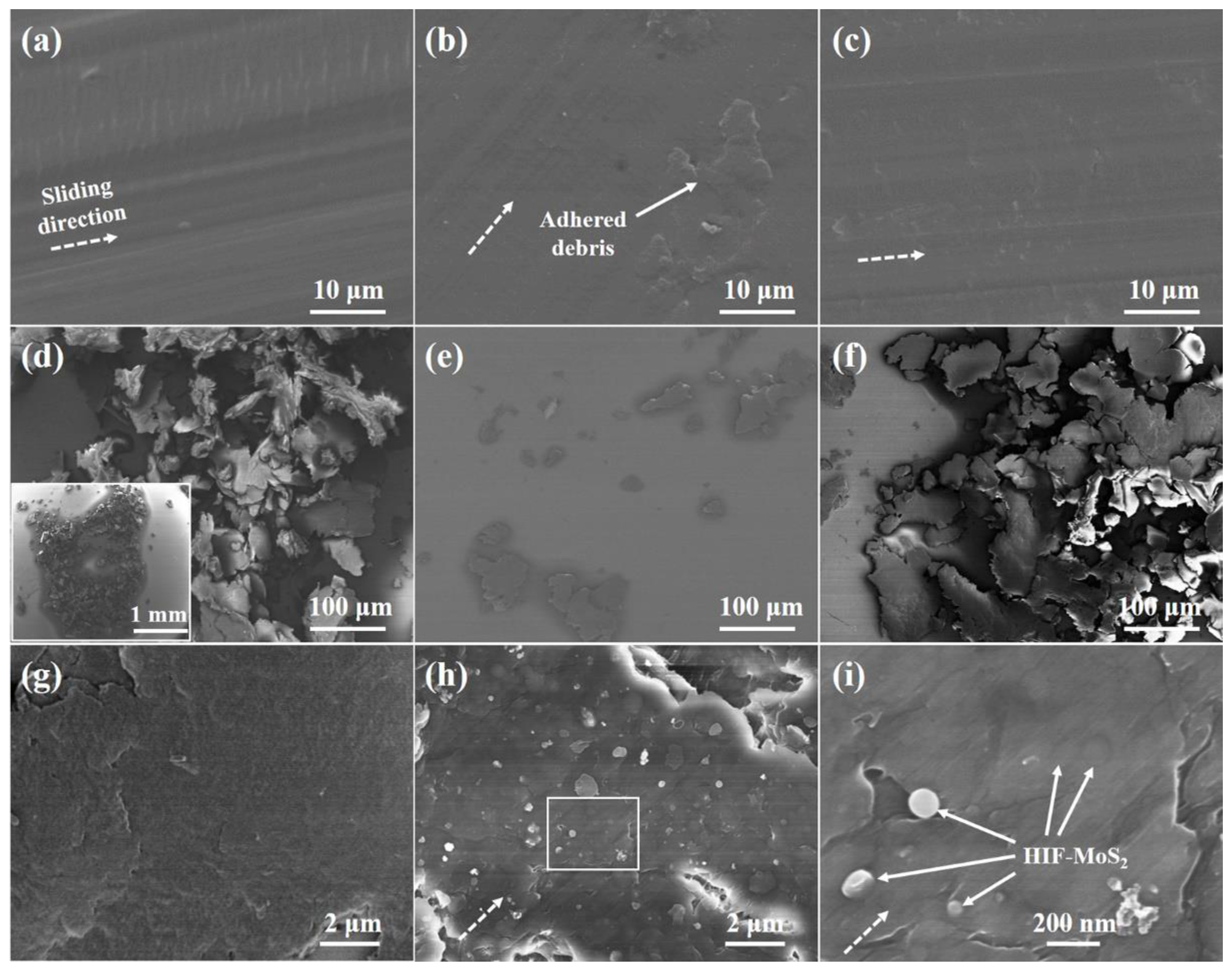 Coatings 11 00025 g008