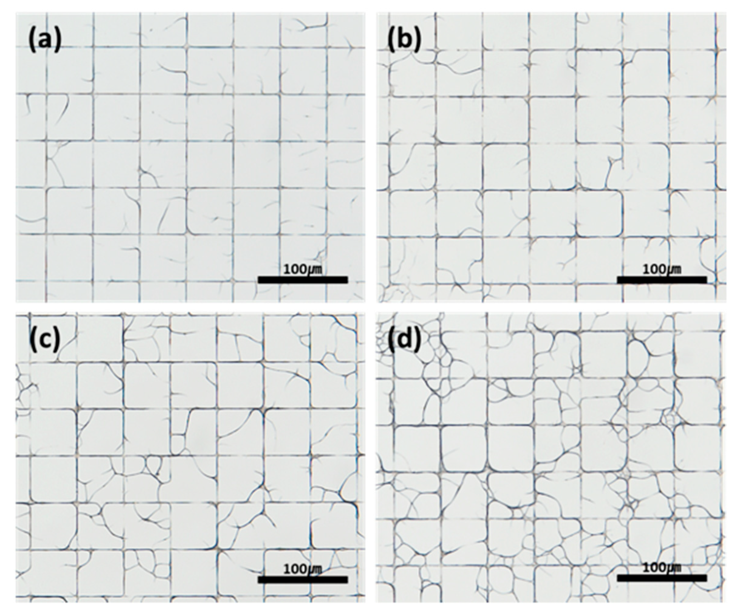 Coatings 11 00030 g003