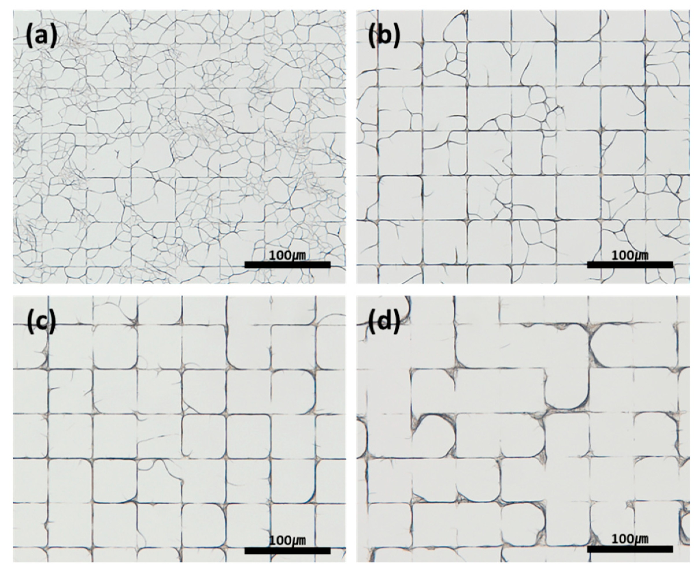 Coatings 11 00030 g005