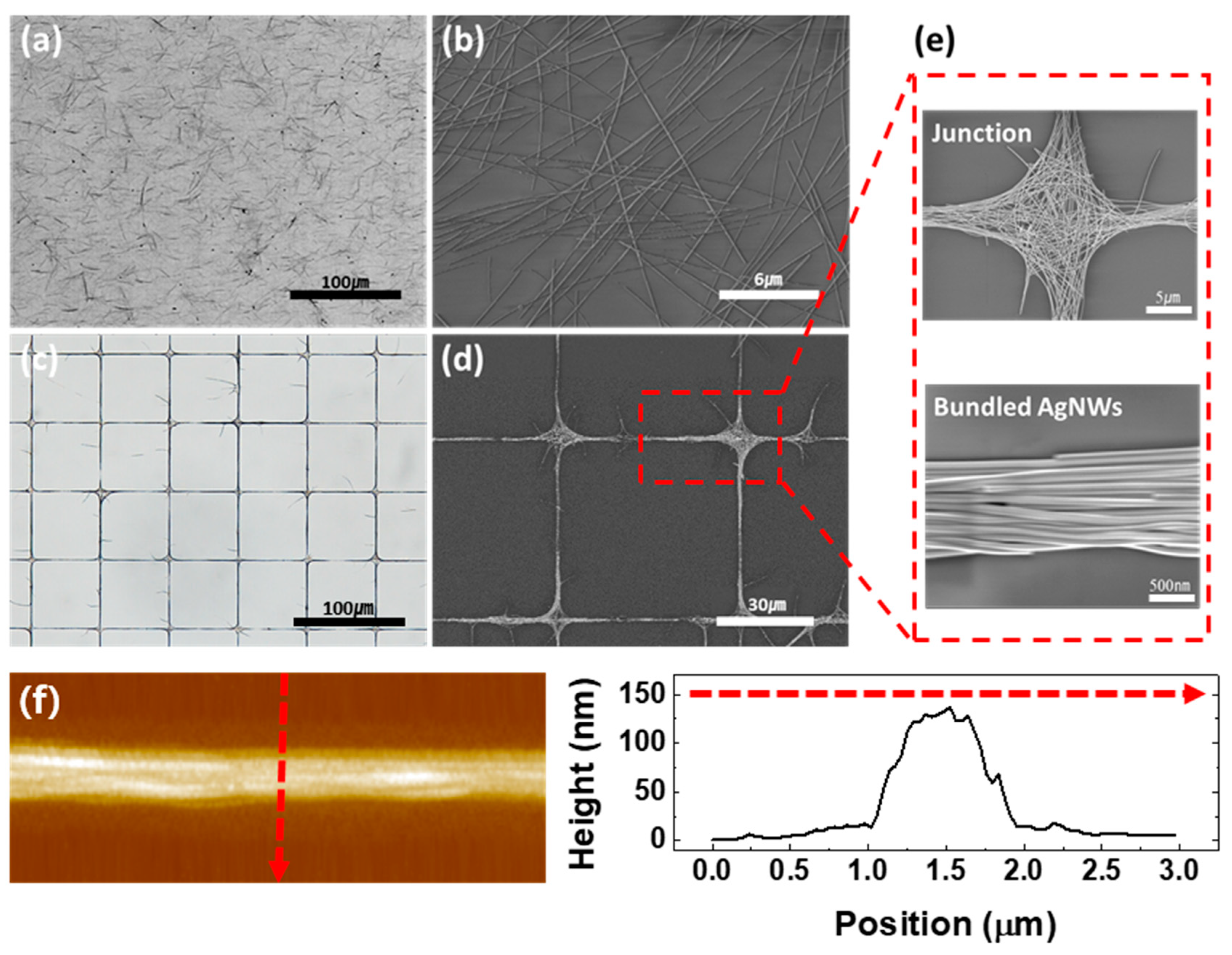 Coatings 11 00030 g006
